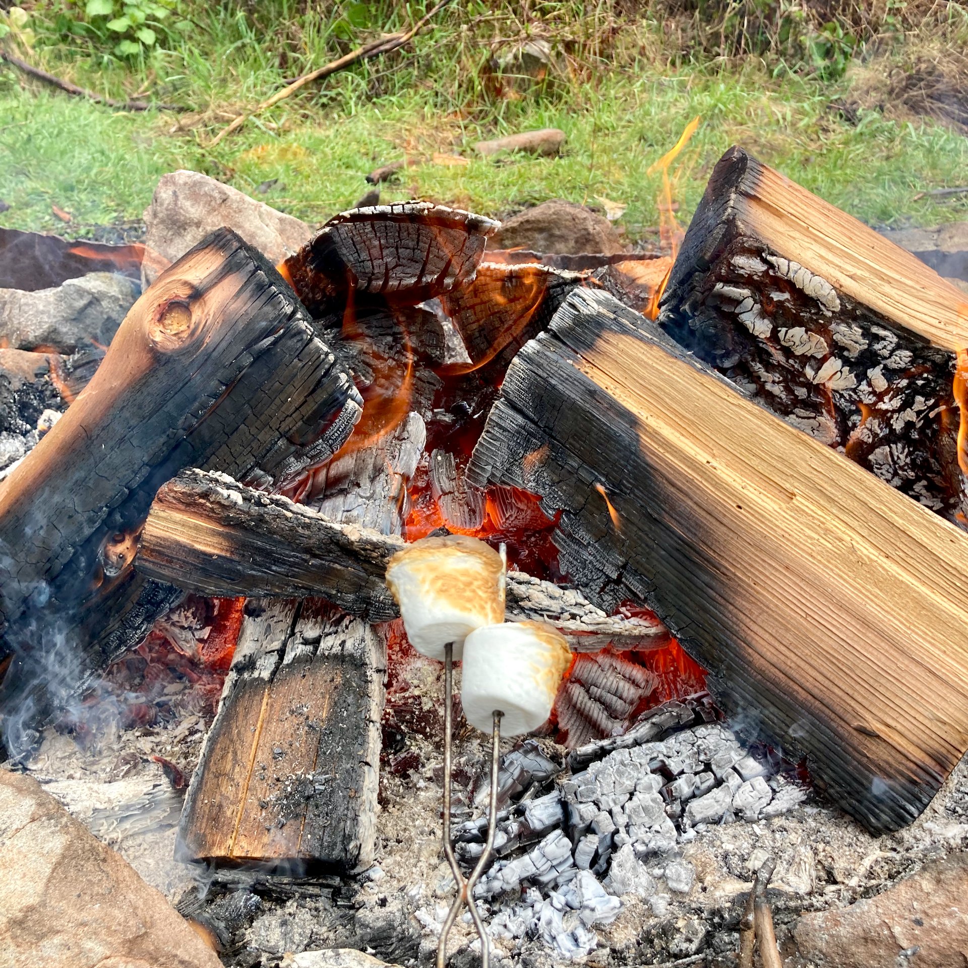  Justine was all in on the S’mores! 