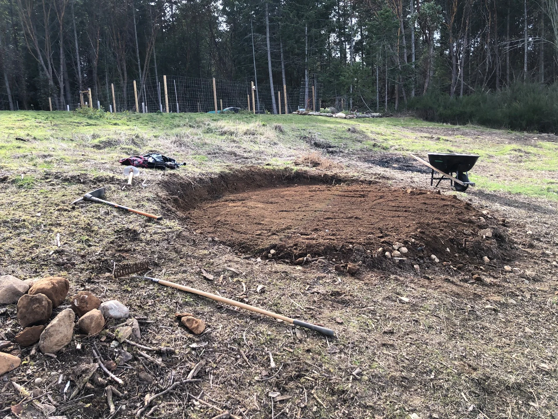  It was a lot of work to remove dirt, redistribute it and level the area for the fire pit. 