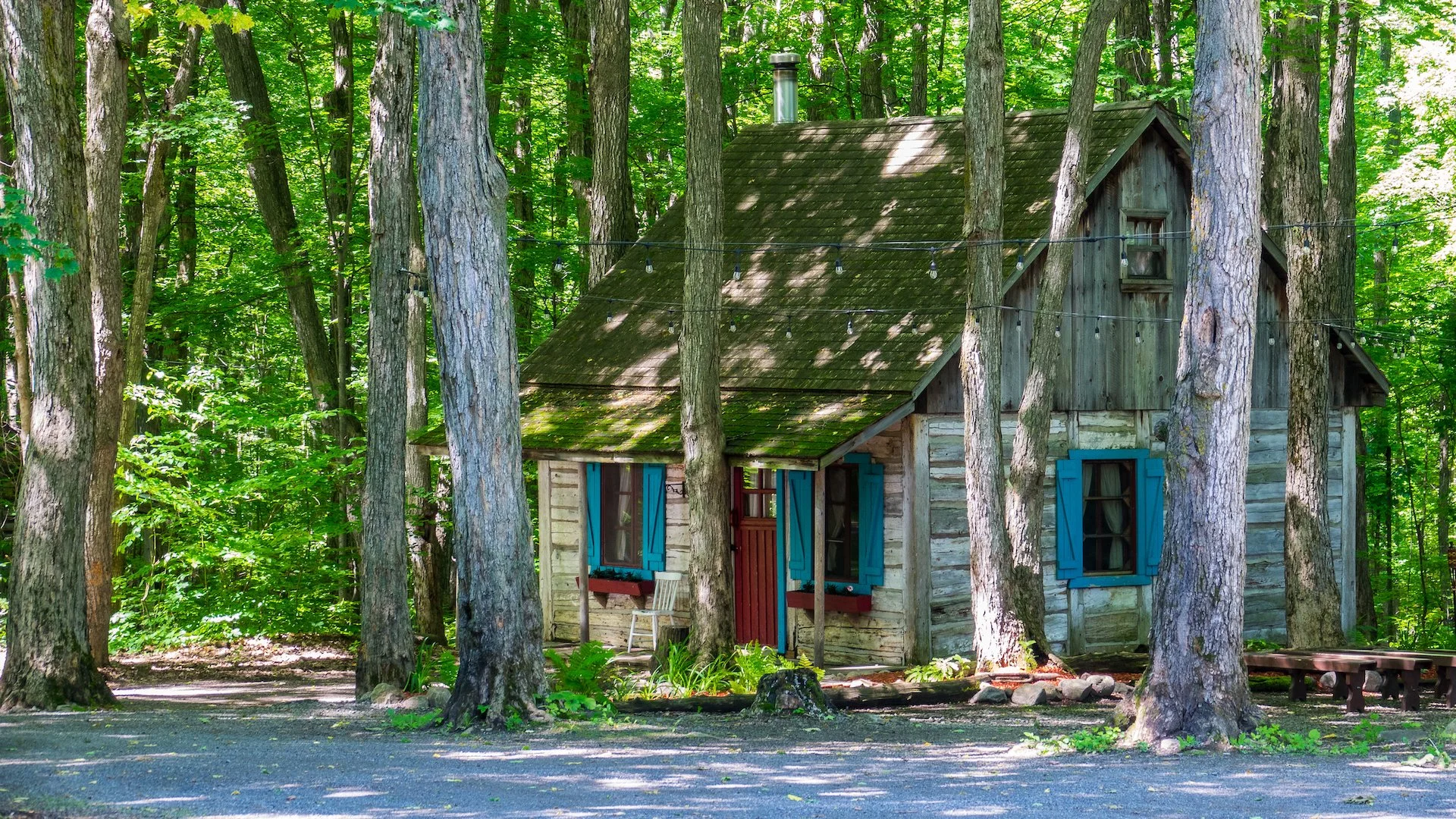 2022 06 Hudson - 12.jpeg