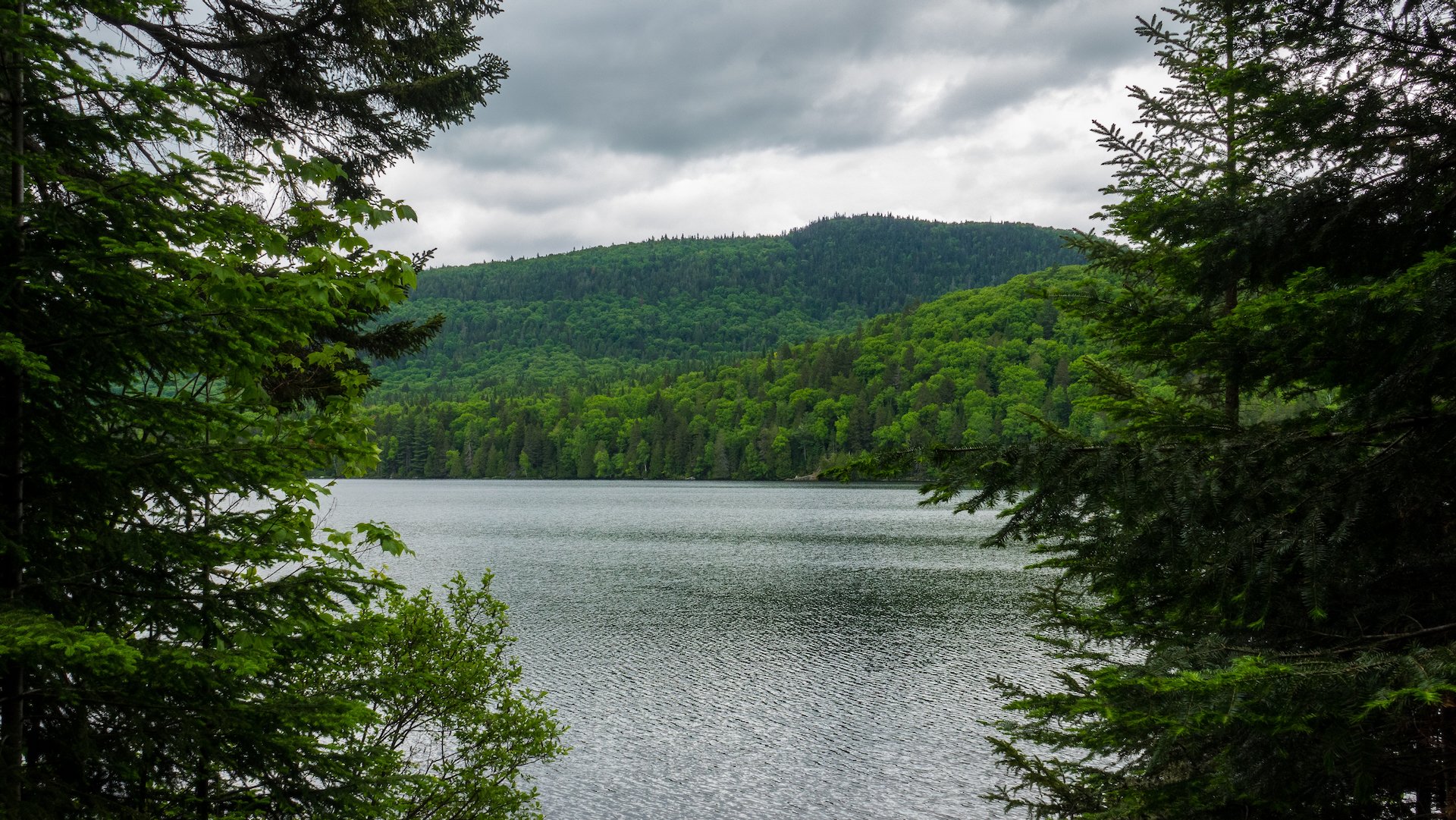  On the hike, there were nice views of some smaller lakes. 