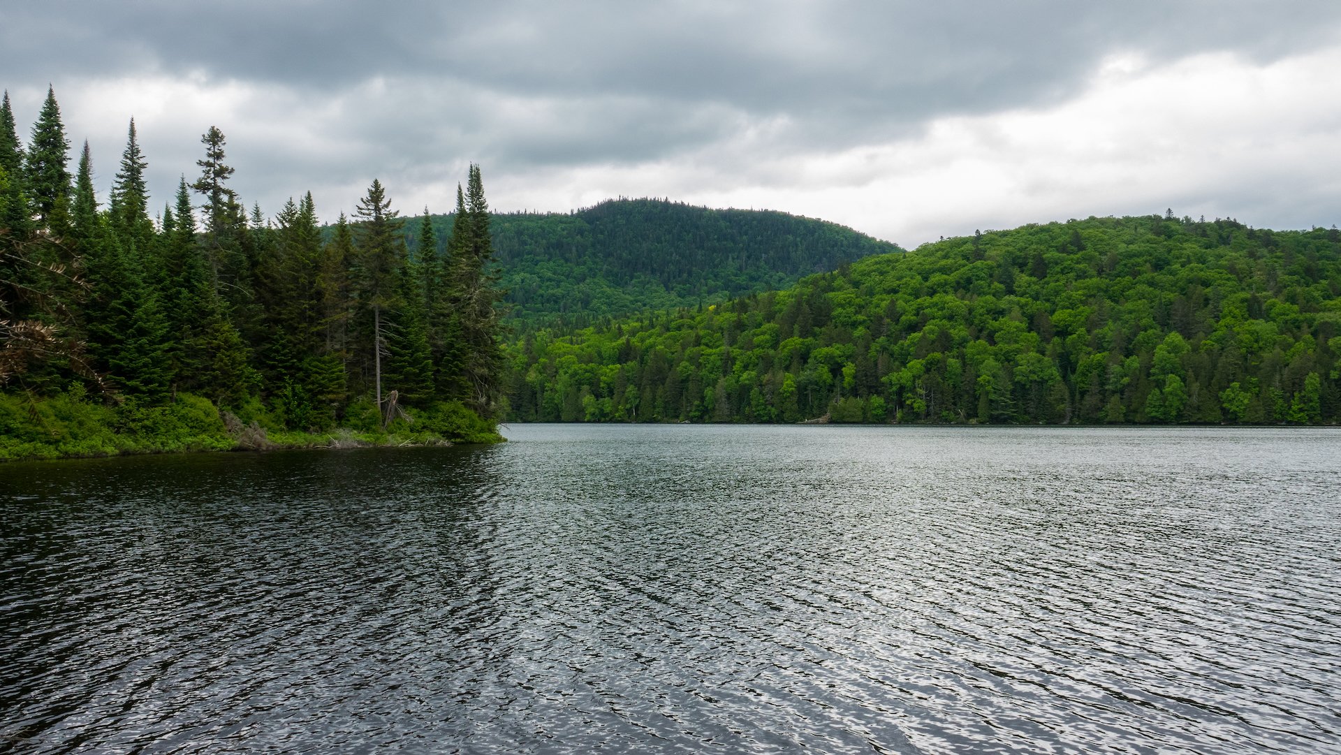  More lake views from one of the view points. 