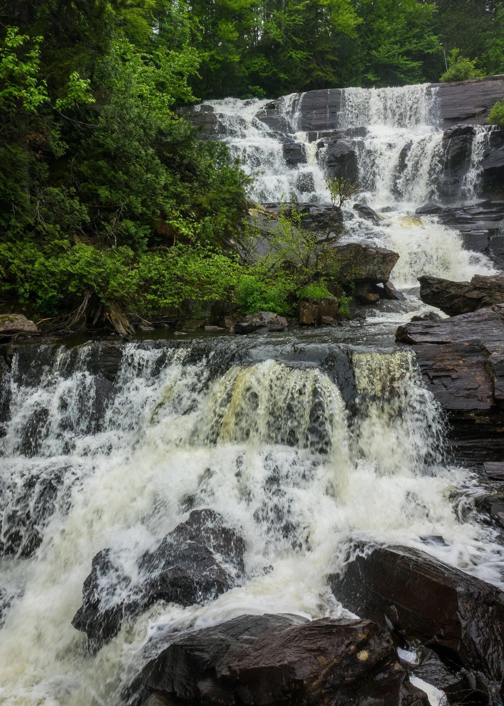 2022 06 Hudson - 26.jpeg