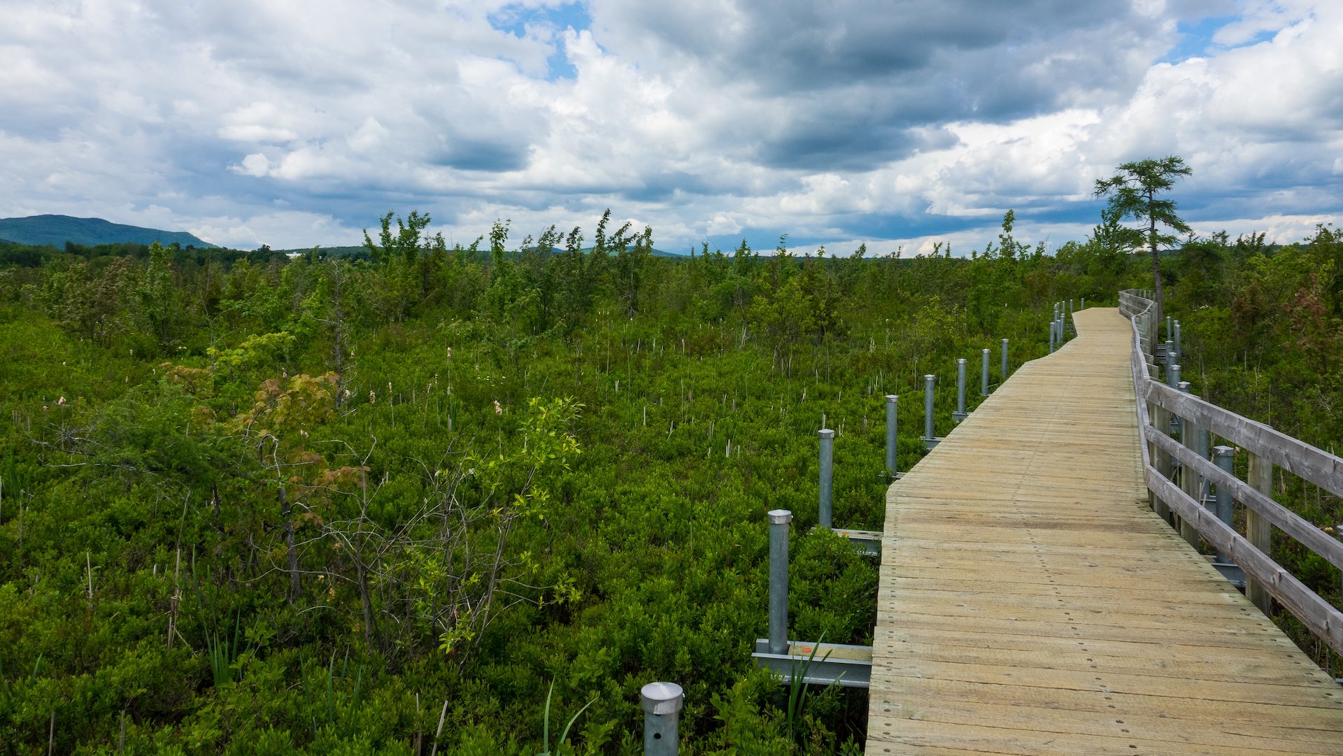 The boardwalk they were rebuilding is impressive. This is part of the newly replaced section.
