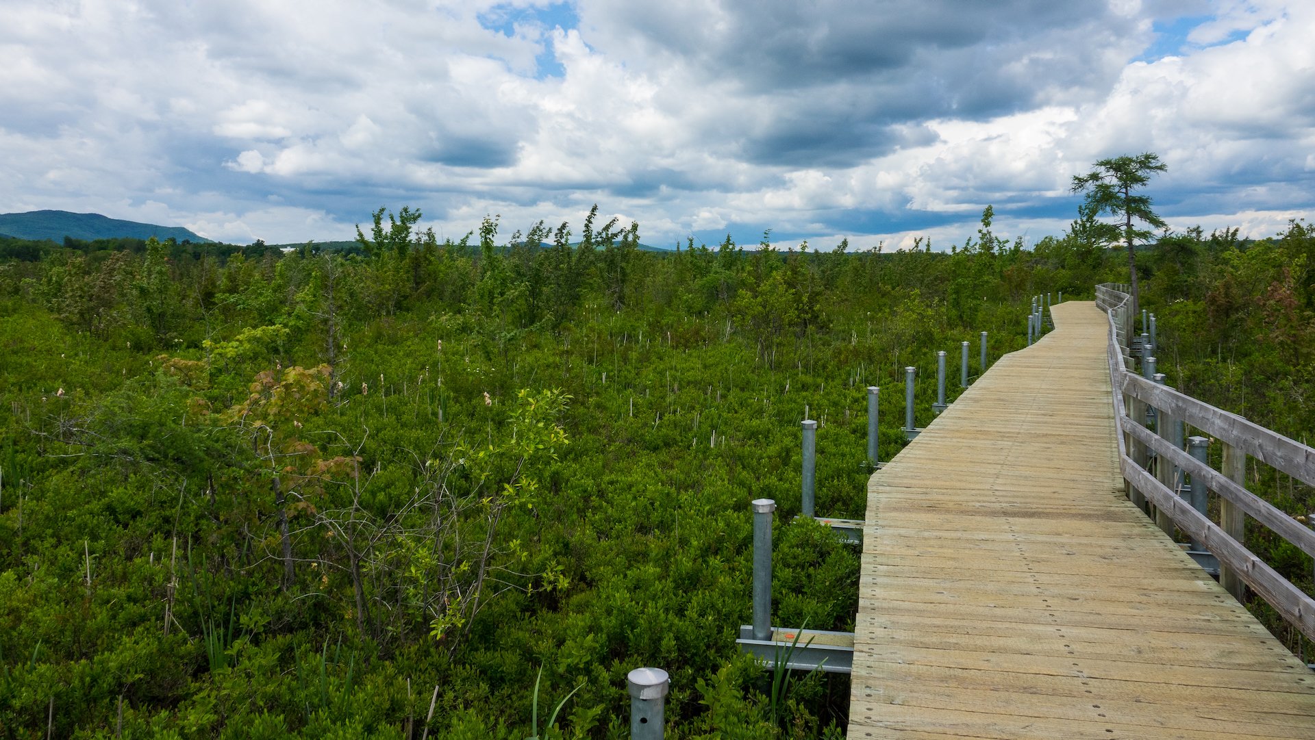  The boardwalk they were rebuilding is impressive. This is part of the newly replaced section.  