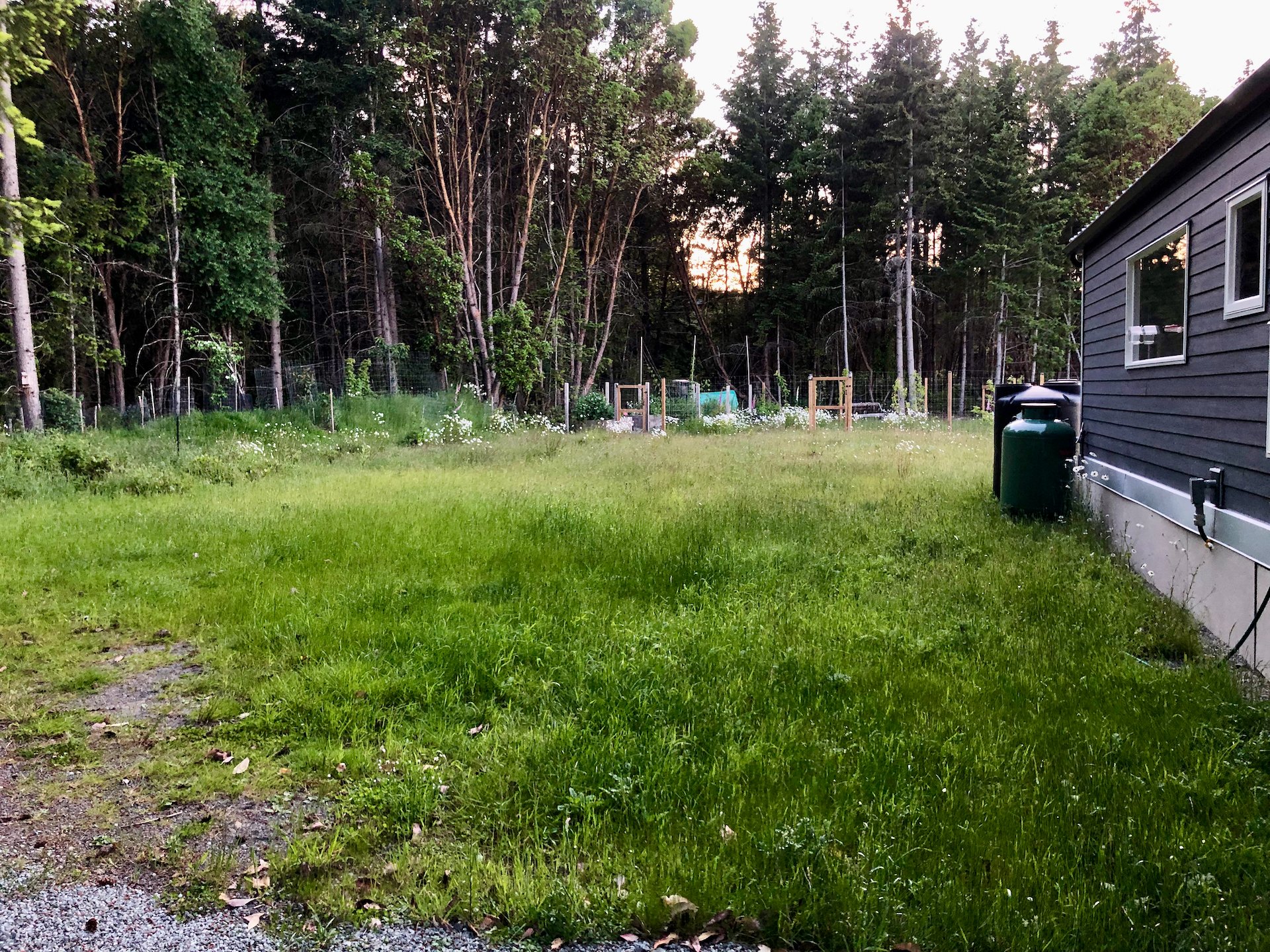  And the backyard - also a bit long. 
