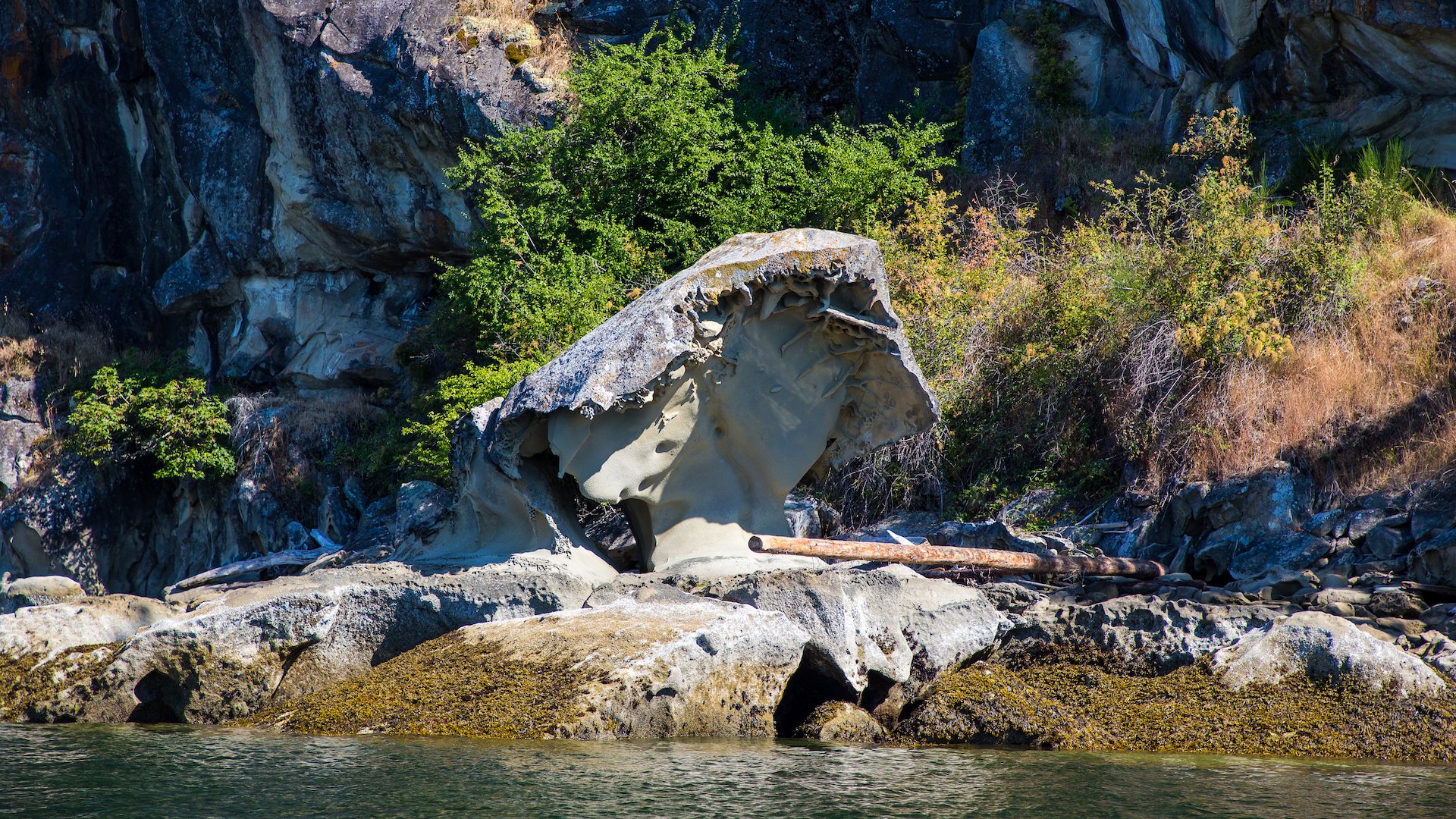  One of Galiano’s most famous features, Mushroom Rock as we cruised by. 