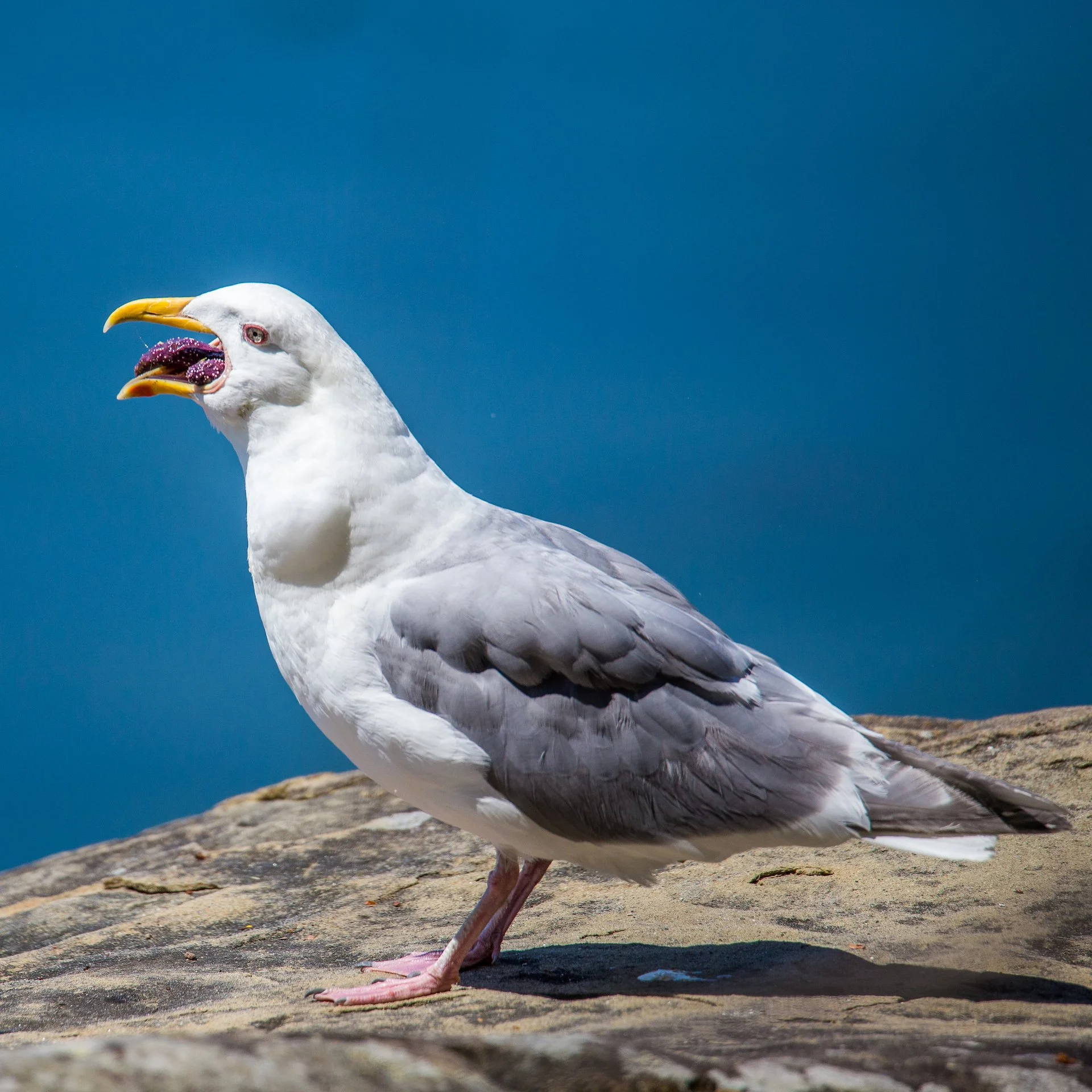 2022 07 Boating - 42.jpeg