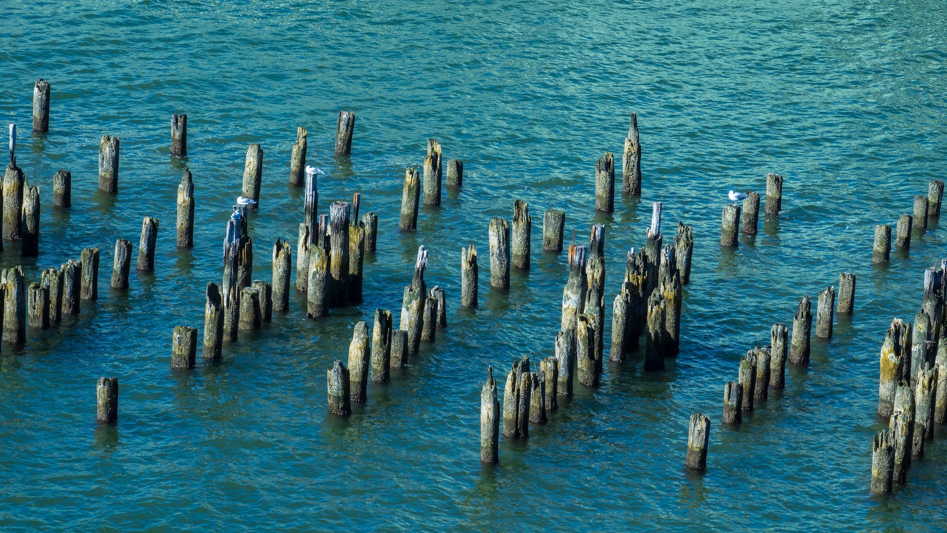  All along the river you see the remains of the original piers. 