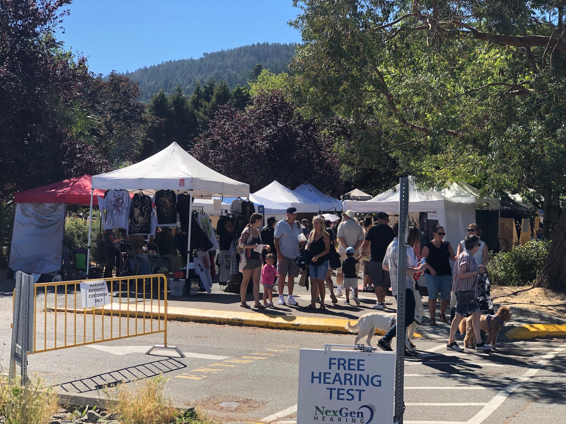  The market is quite a bit larger than the one on Galiano, with lots of craft vendors as well as a lot of farmer’s stalls. The produce looked amazing.  