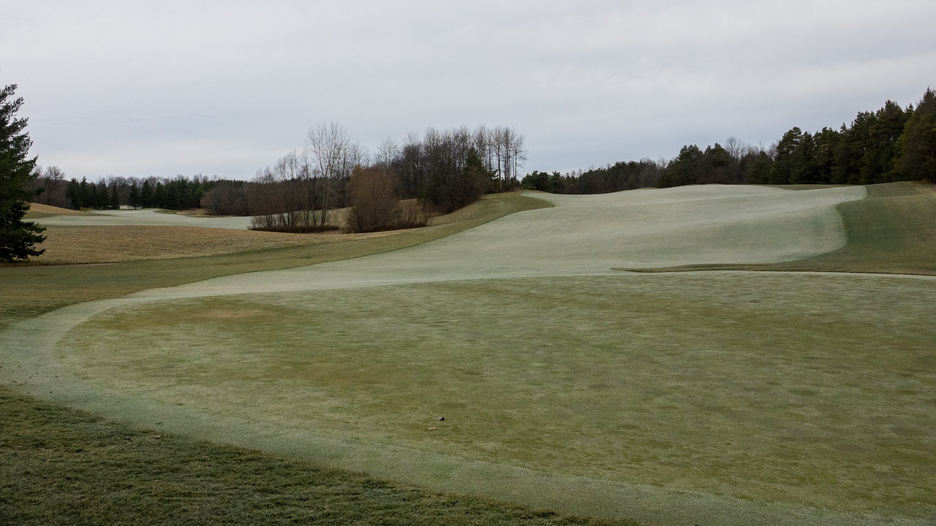  I wandered onto the golf course, as it was so odd to see the green grass (in the frost) this late in the year. 