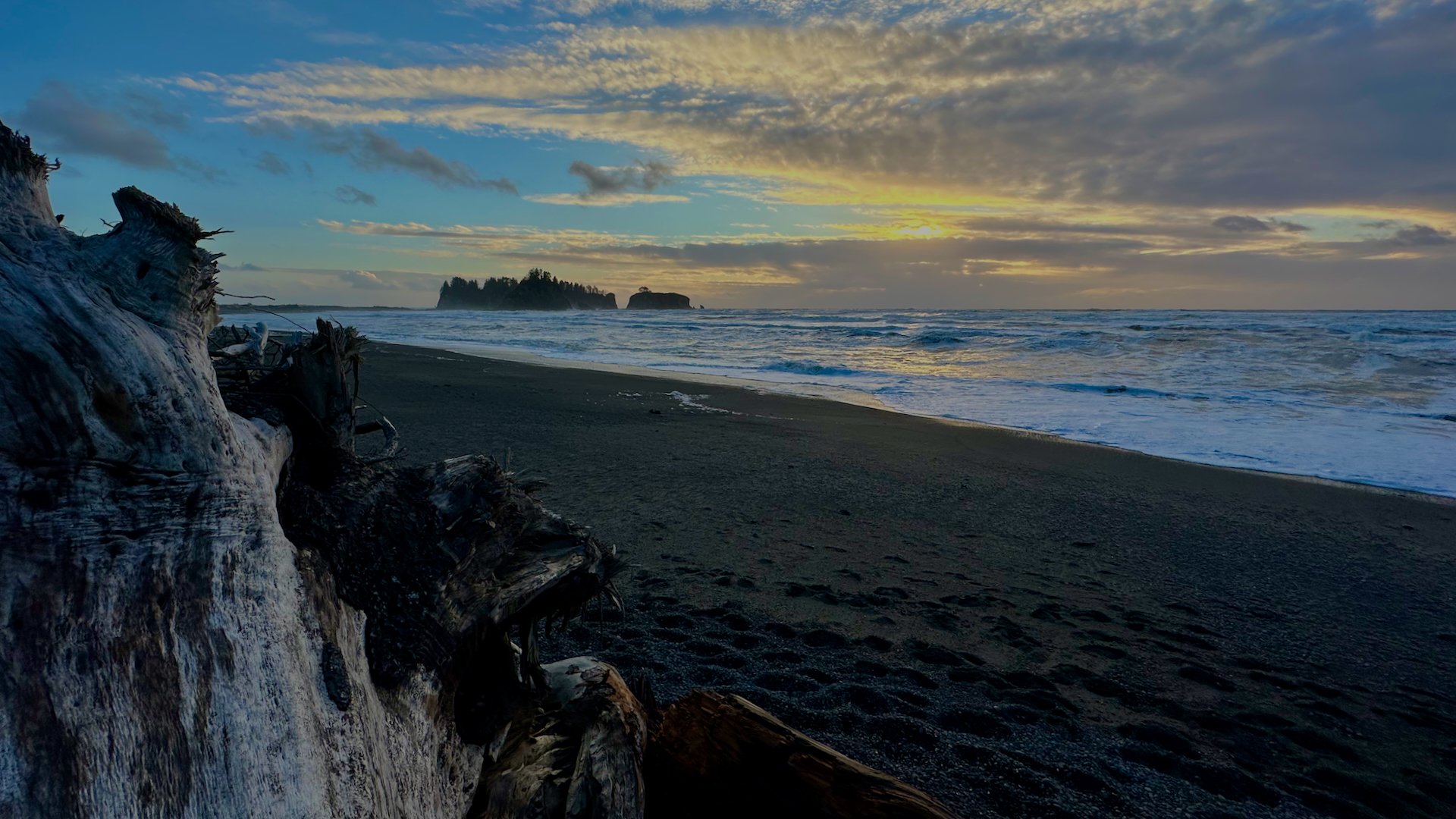  Sadly, the great sunset never materialized. We sat on this huge driftwood log, had a beer and a snack and watched the sunset. 