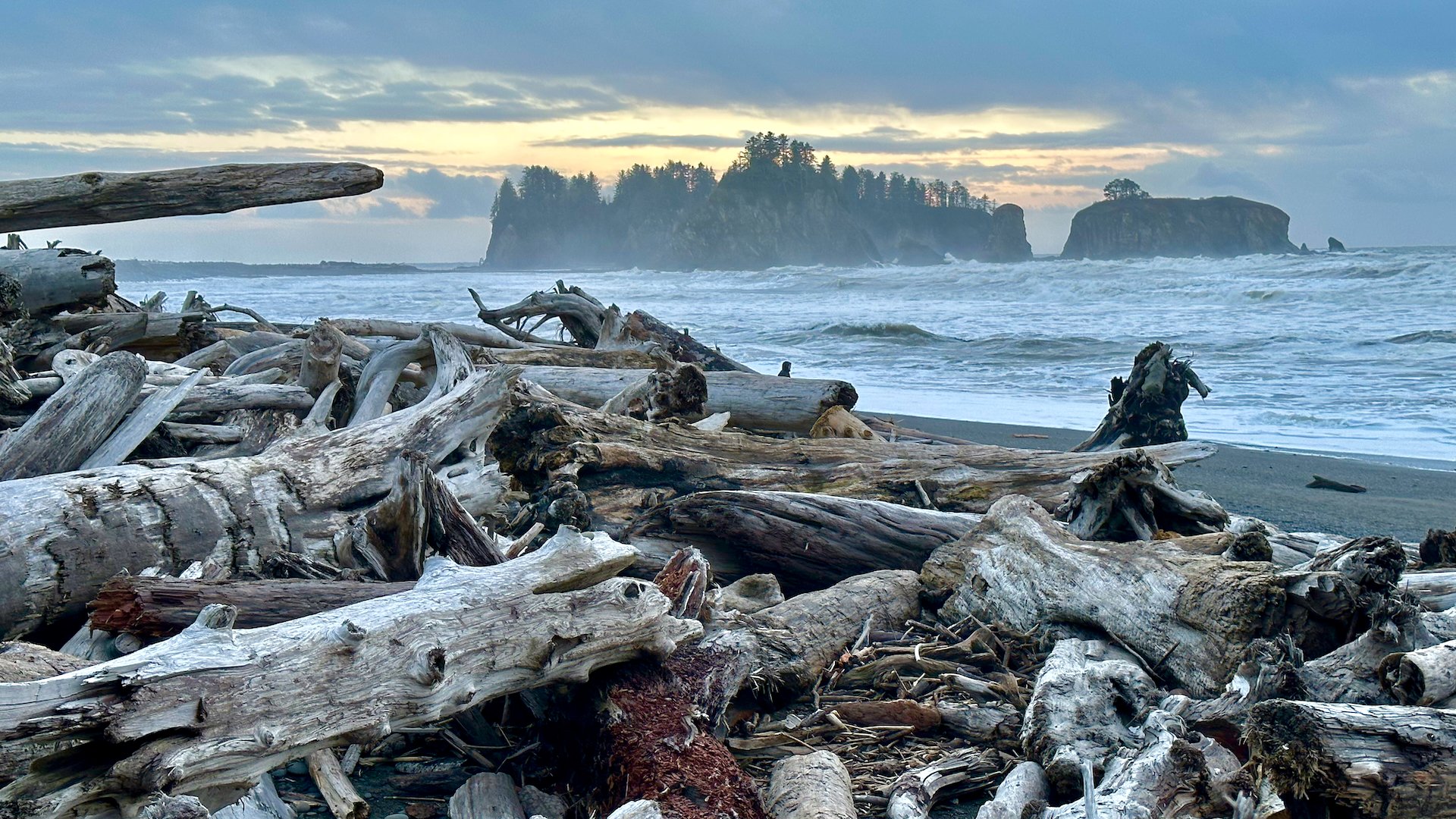  The piles of driftwood on the beach are immense. It’s hard to imagine how long it’s taken for them to pile up.  