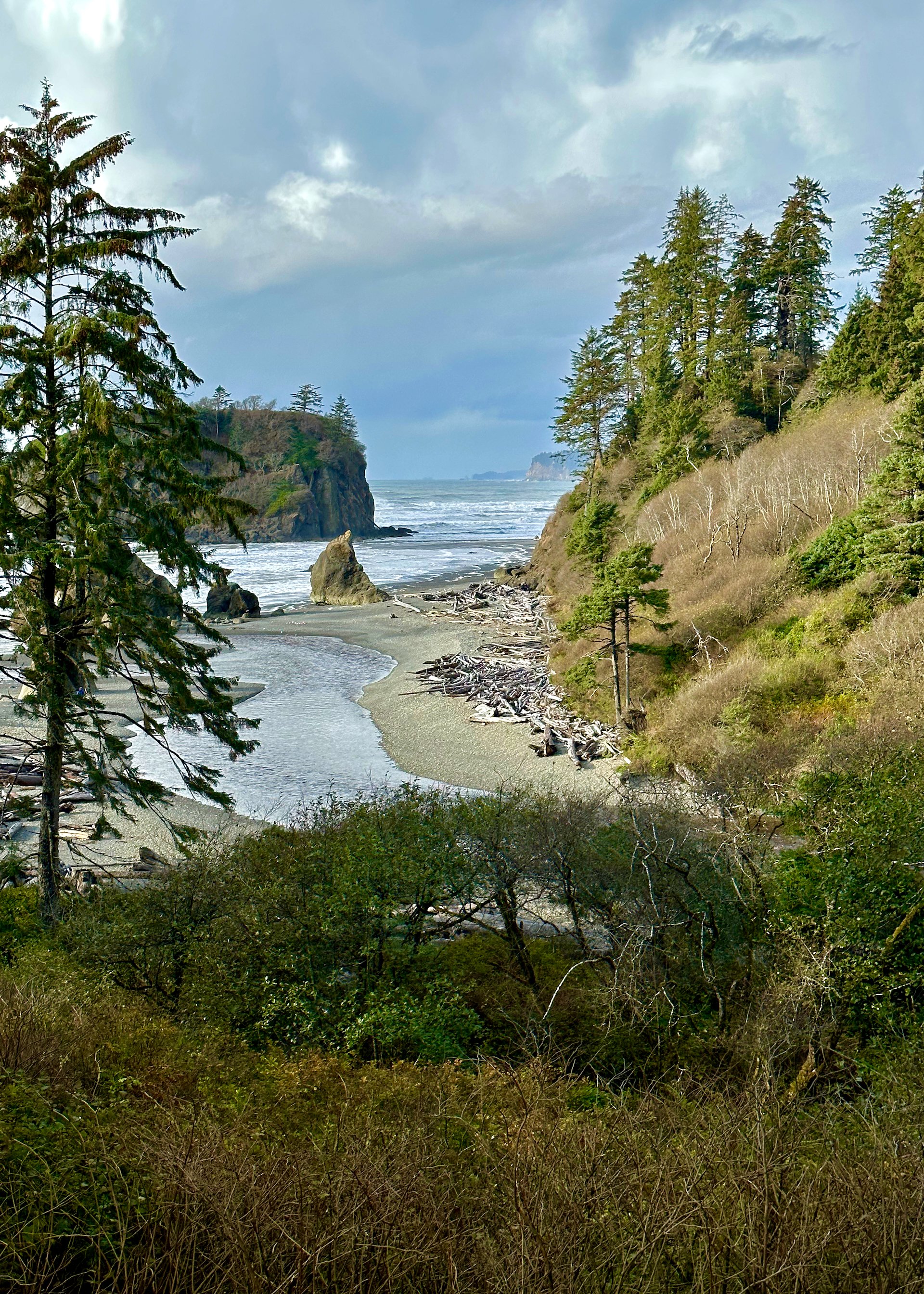  Looking down at Ruby Beach from the lookout. 