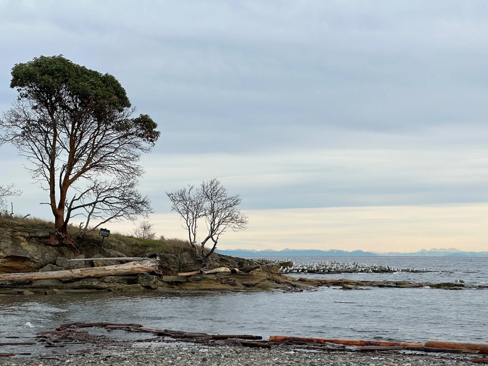  Looking back towards Vancouver. 