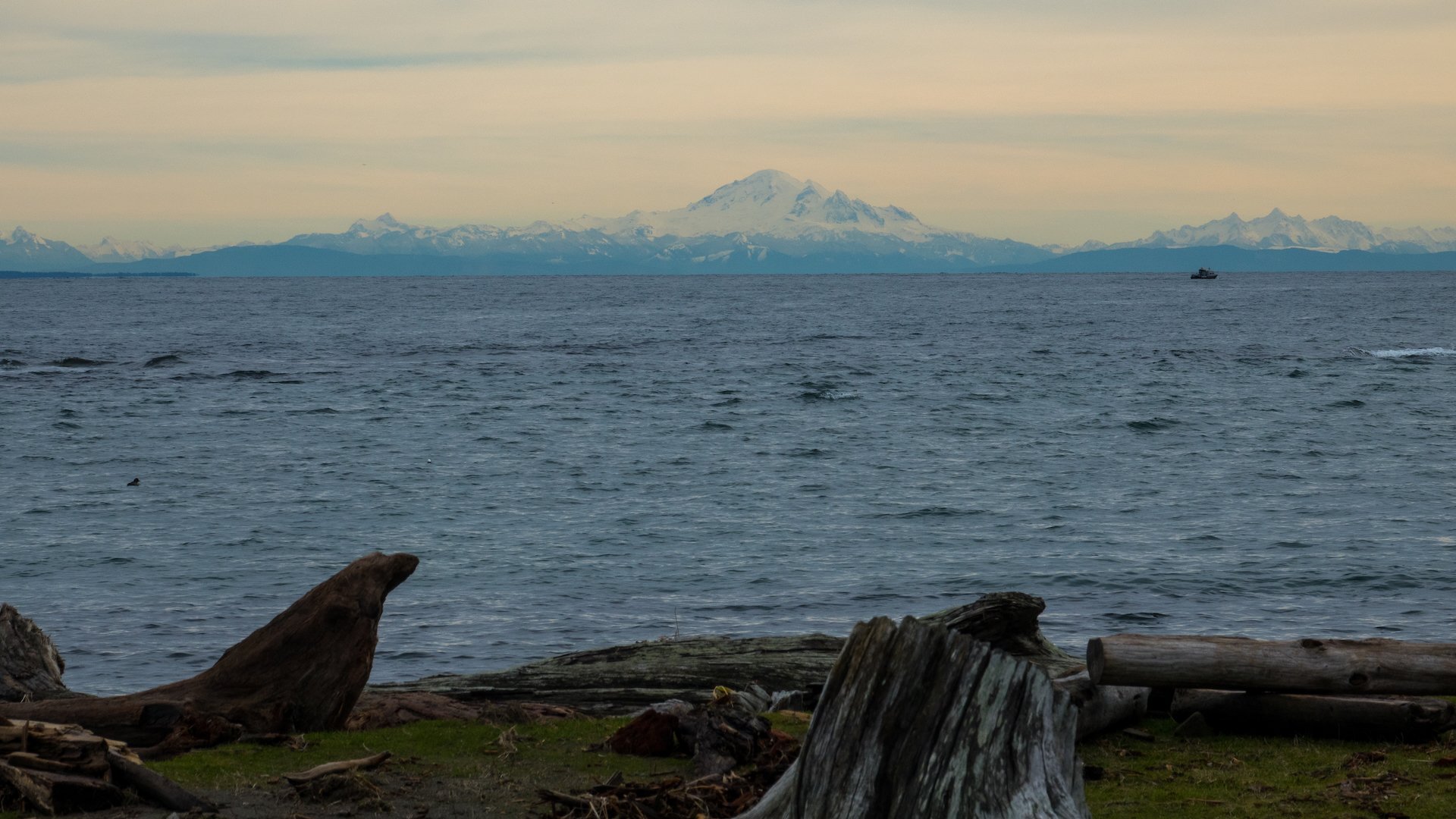  It was a nice clear day and you could easily see Mount Baker.  