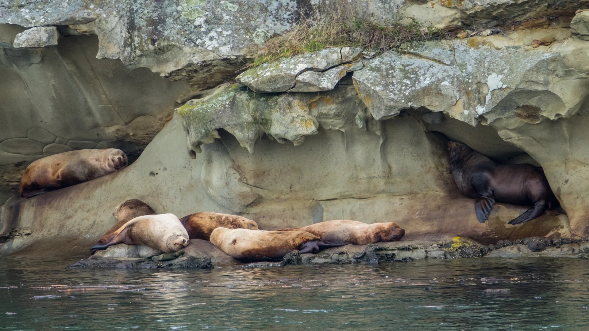  And they cram themselves into every nook and cranny. We really got a kick out of the one on the right, perfectly slotted into the indent in the sandstone. 