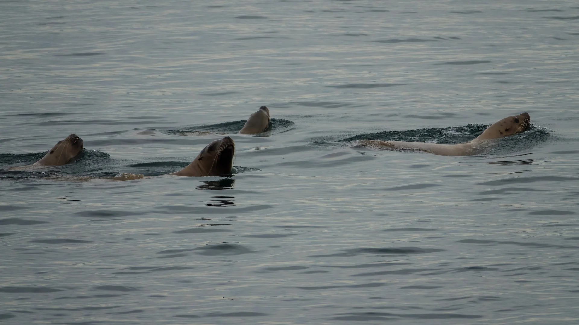  Throughout the time we were there, small groups would go back and forth across the channel. 