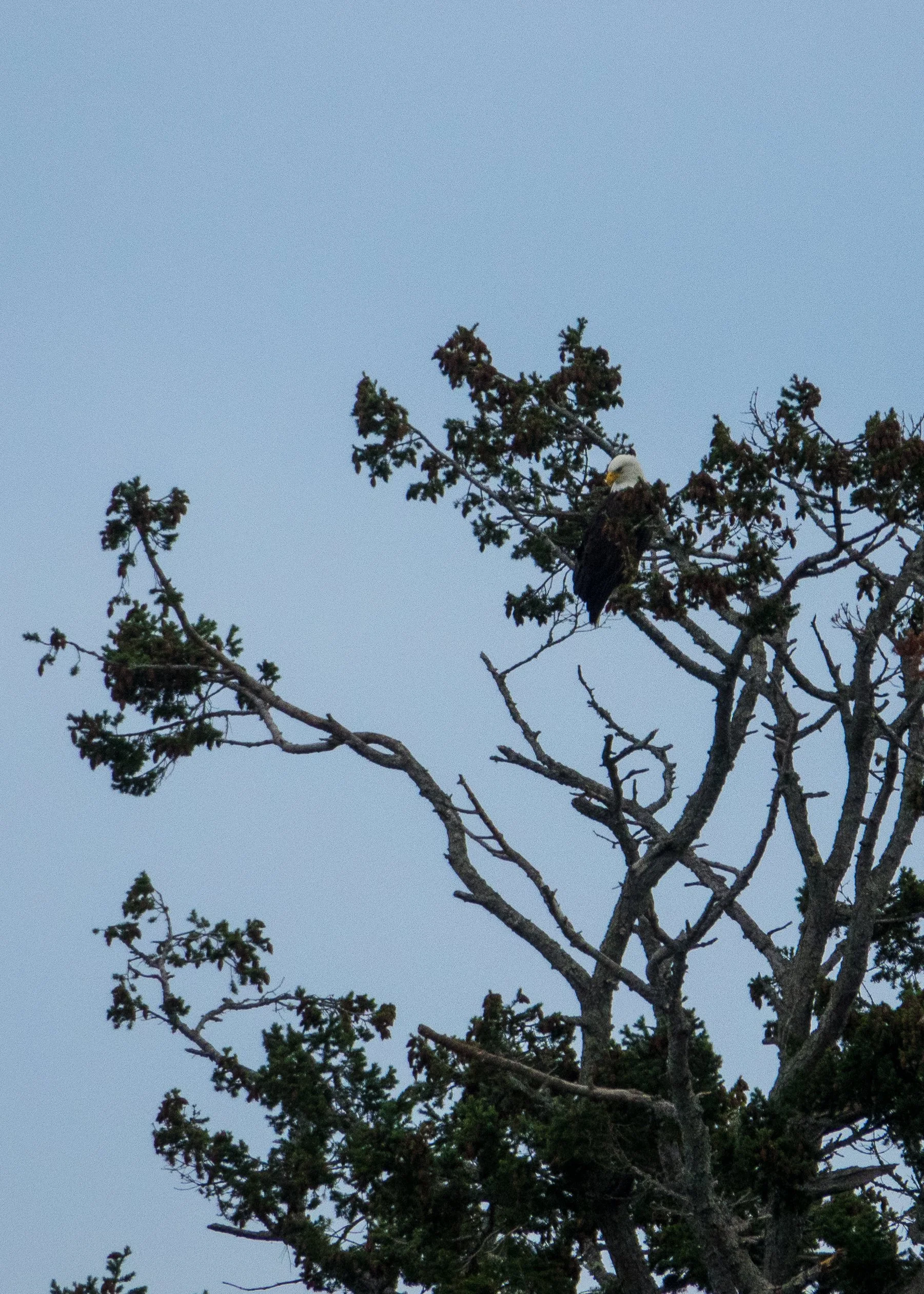 2023 01 New Years - 34.jpeg