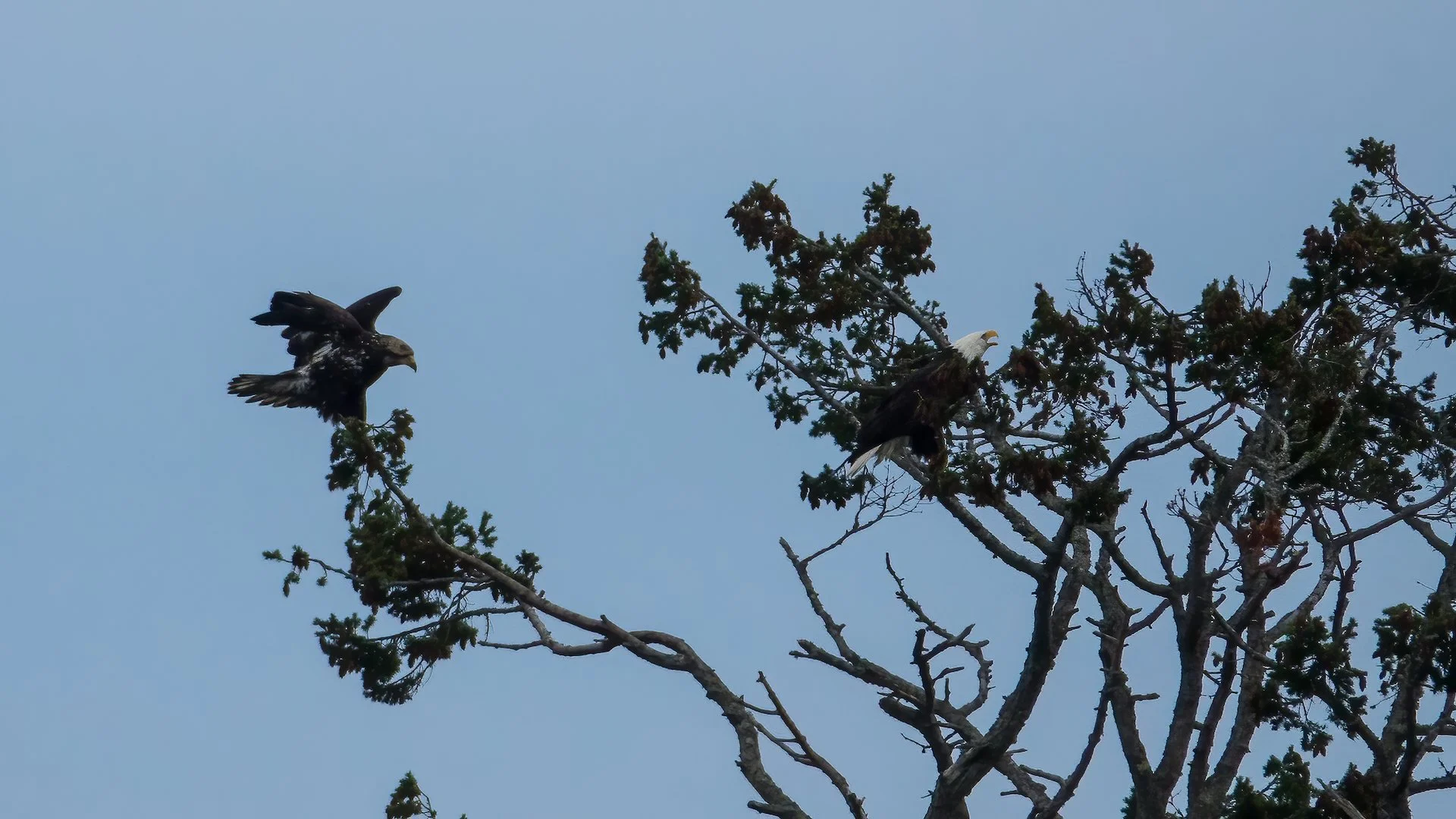 2023 01 New Years - 35.jpeg