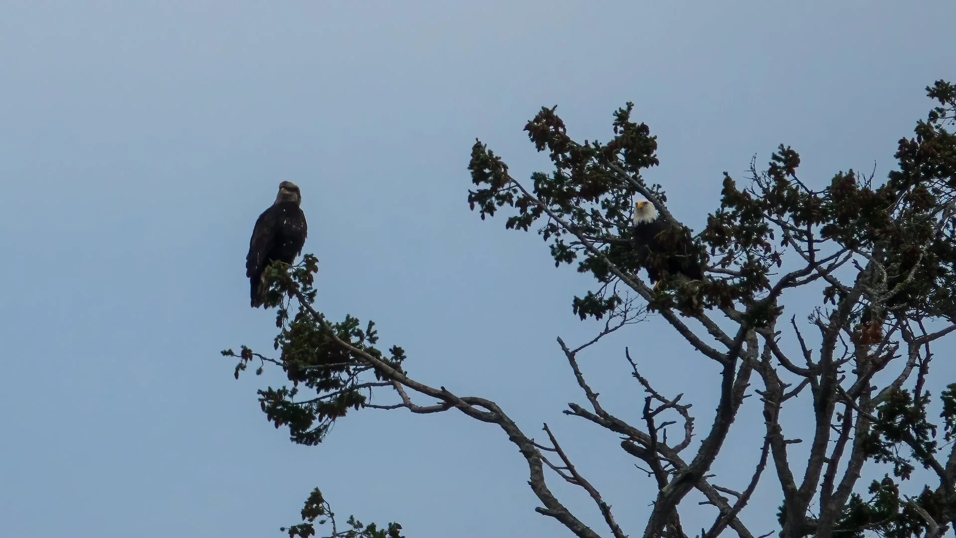 2023 01 New Years - 40.jpeg