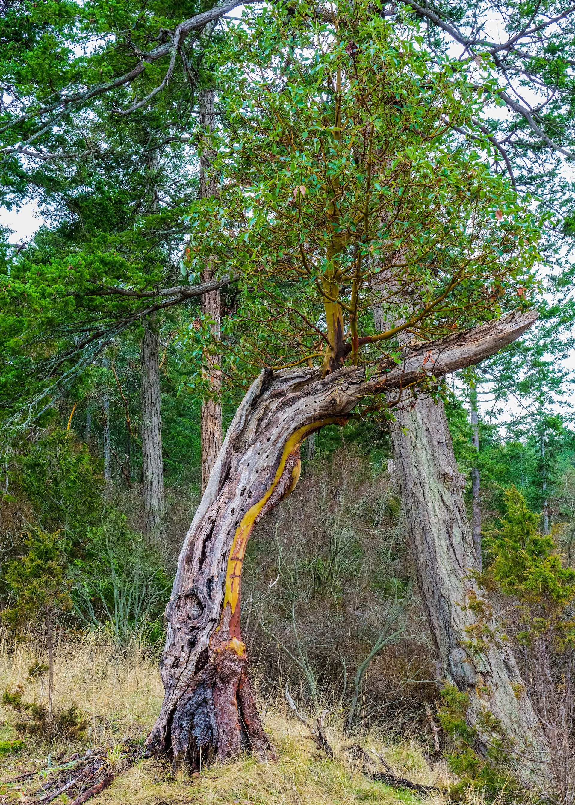 2023 01 New Years - 41.jpeg