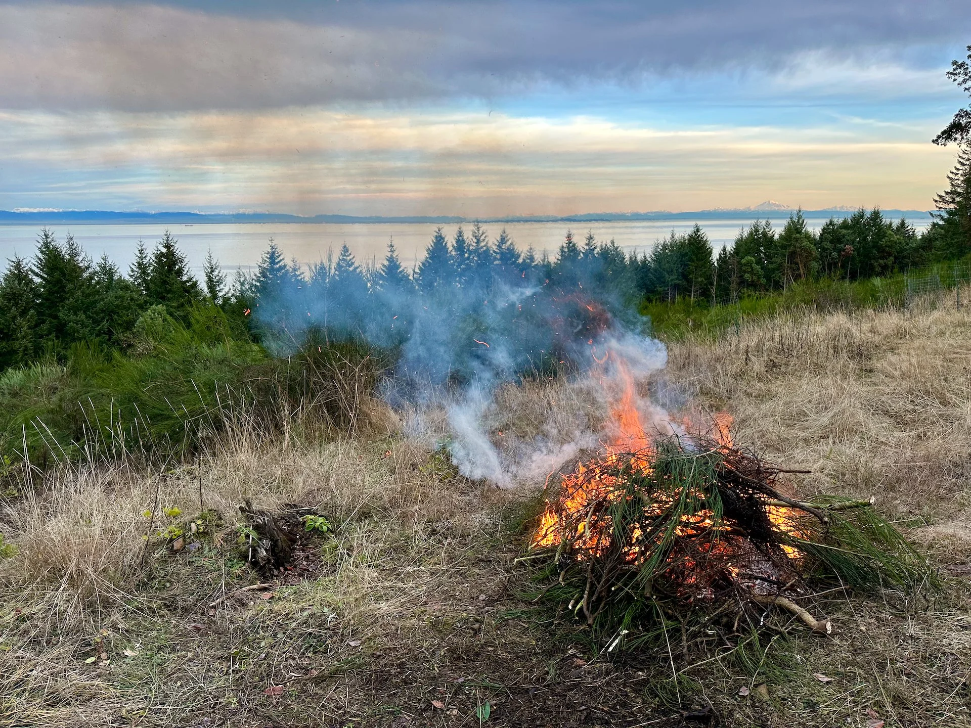  We always try and keep our fires to a reasonable size. 