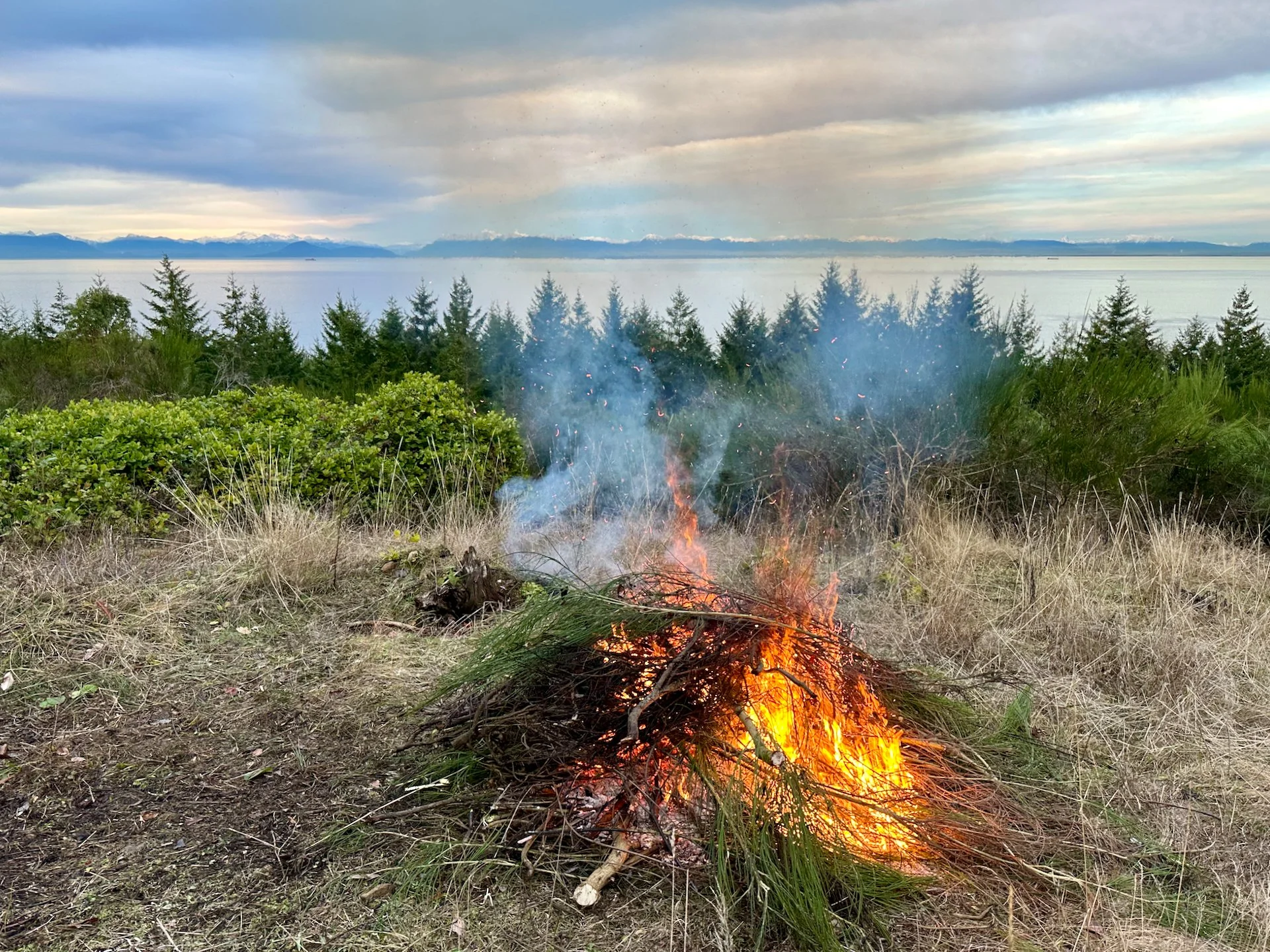  The new broome burns well! 