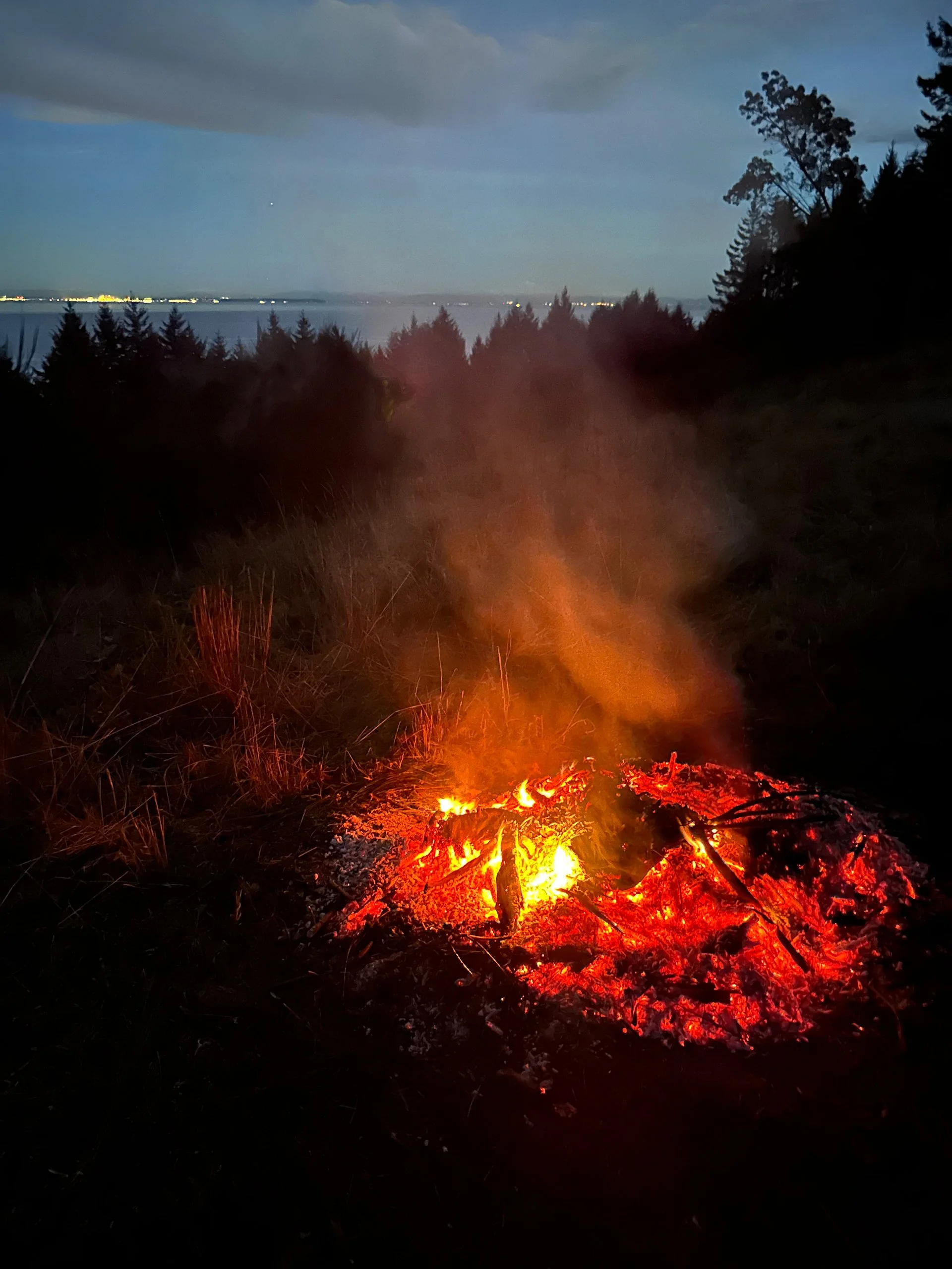  Eventually, we got down to a huge pile of coals! 