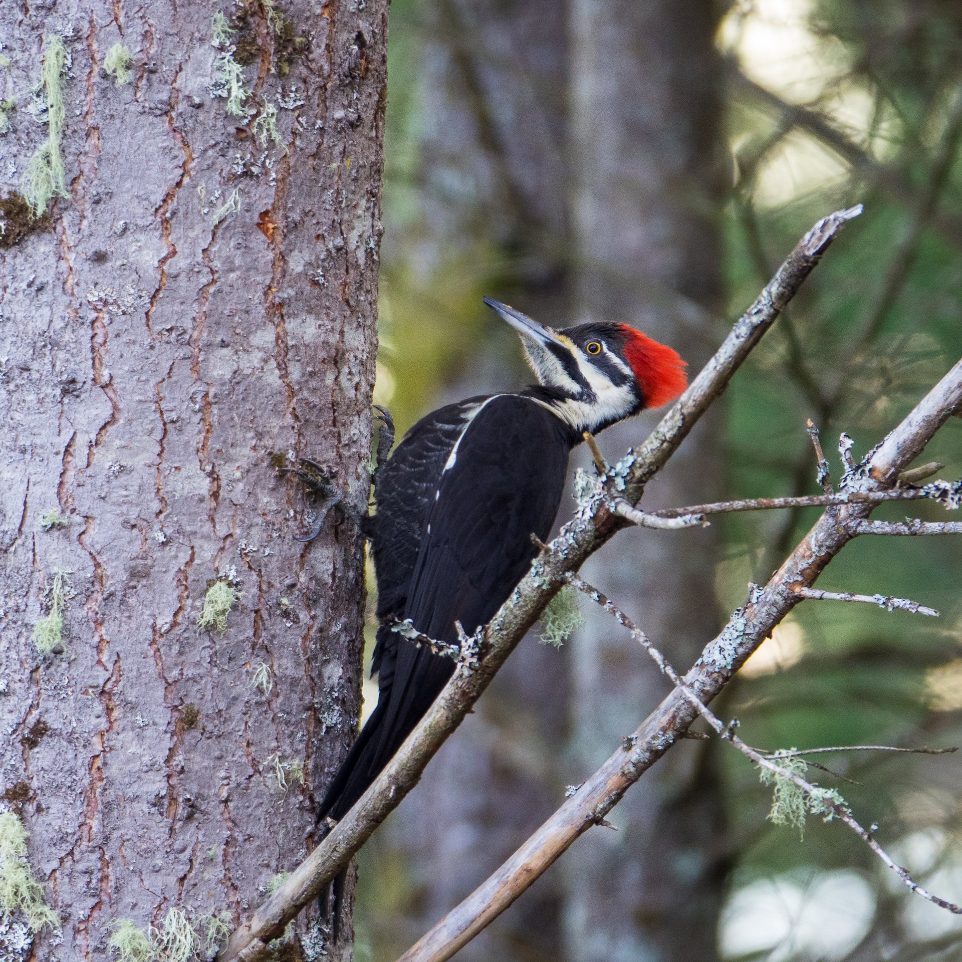 2023 01 New Years - 55.jpeg