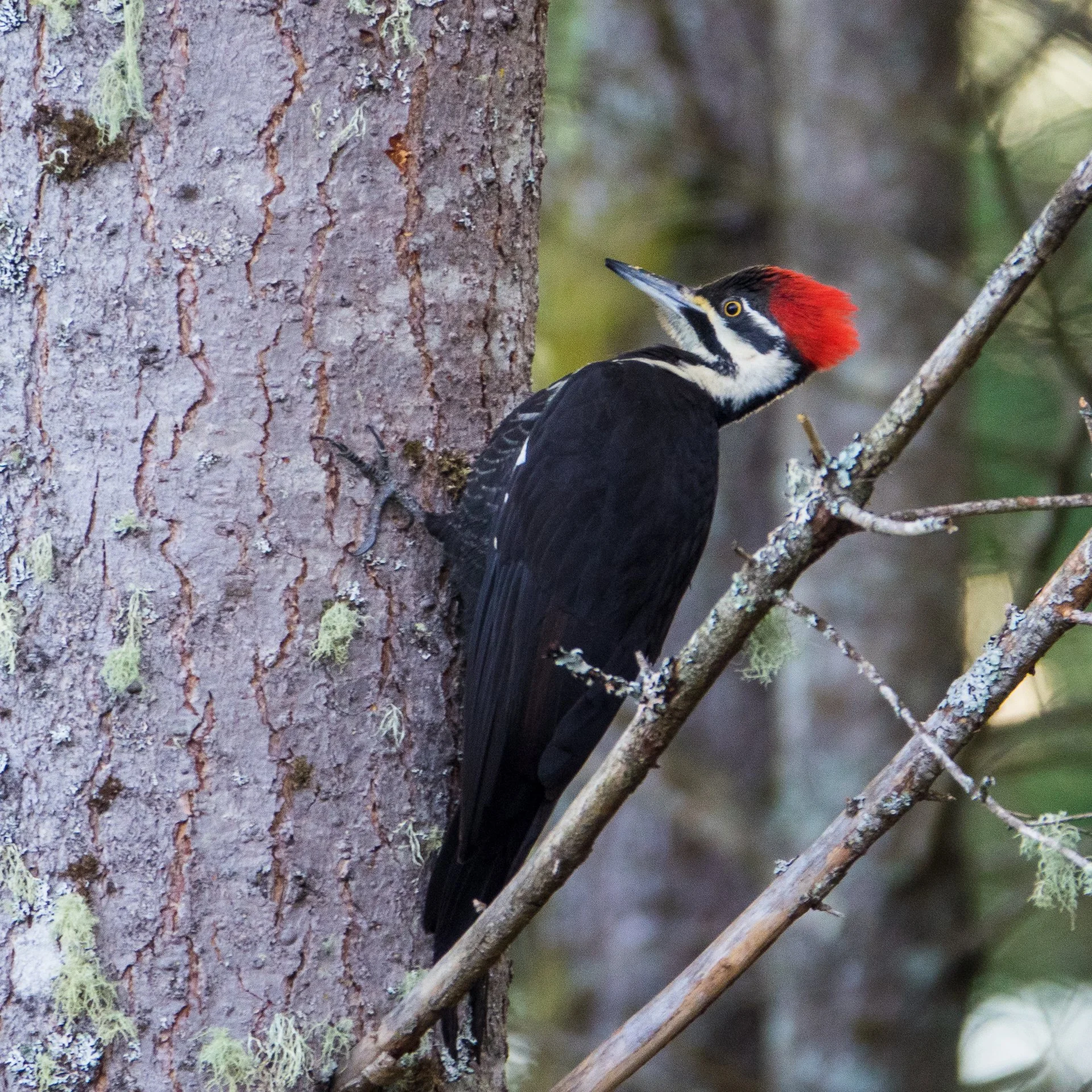 2023 01 New Years - 56.jpeg