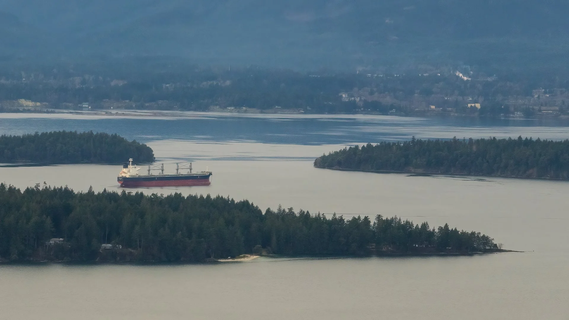 2023 01 New Years - 60.jpeg