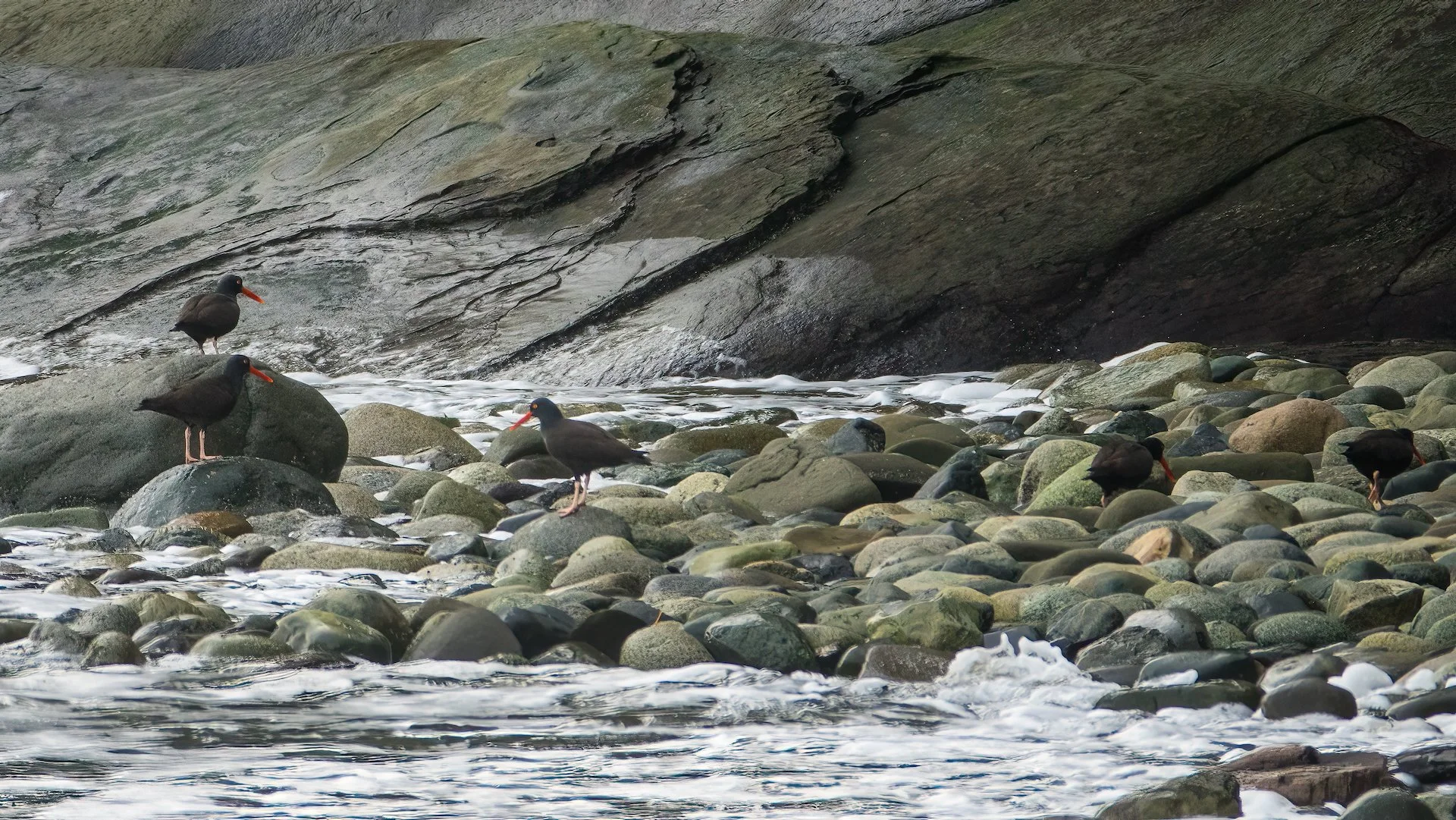 2023 01 New Years - 66.jpeg