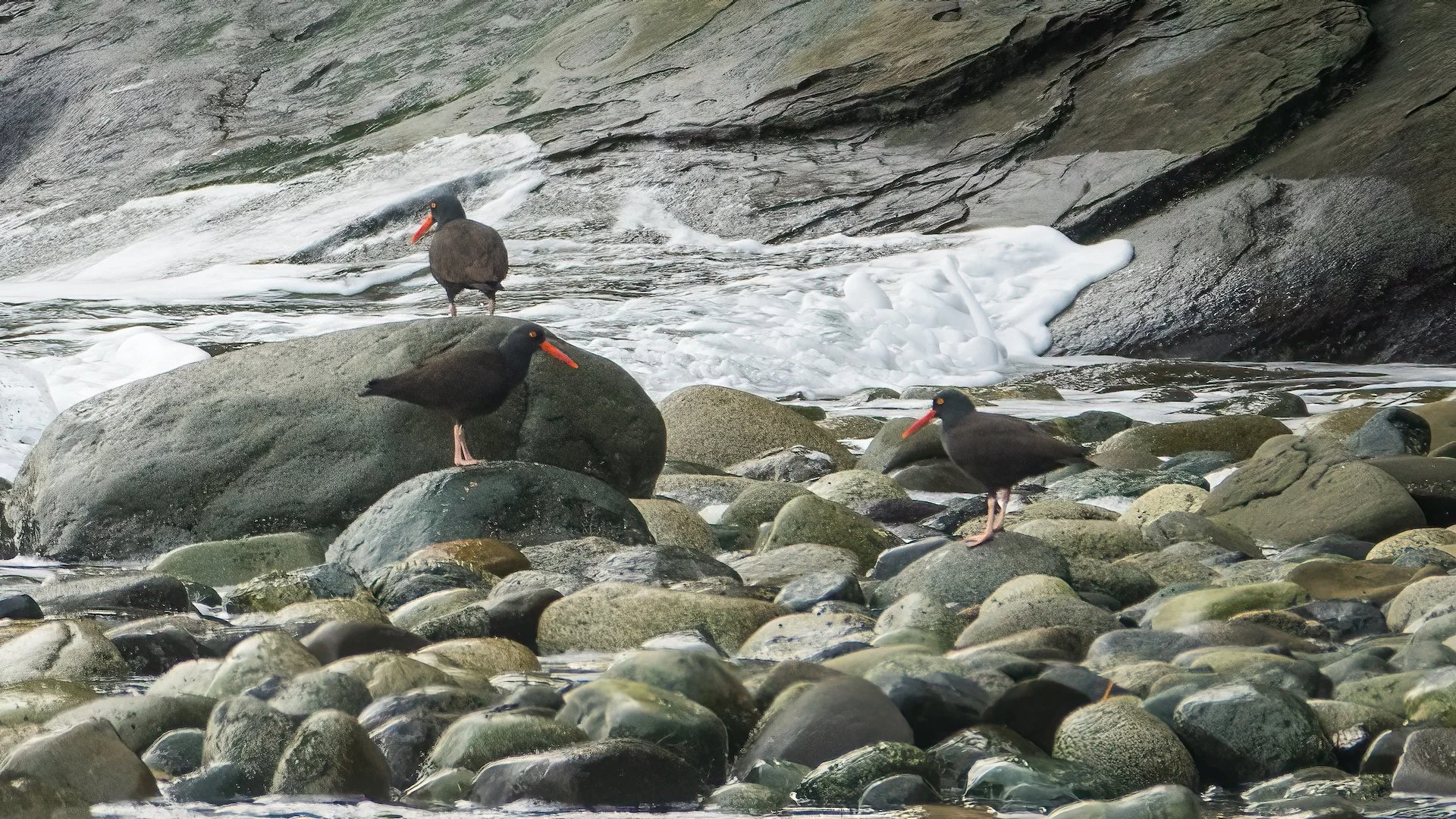 2023 01 New Years - 67.jpeg