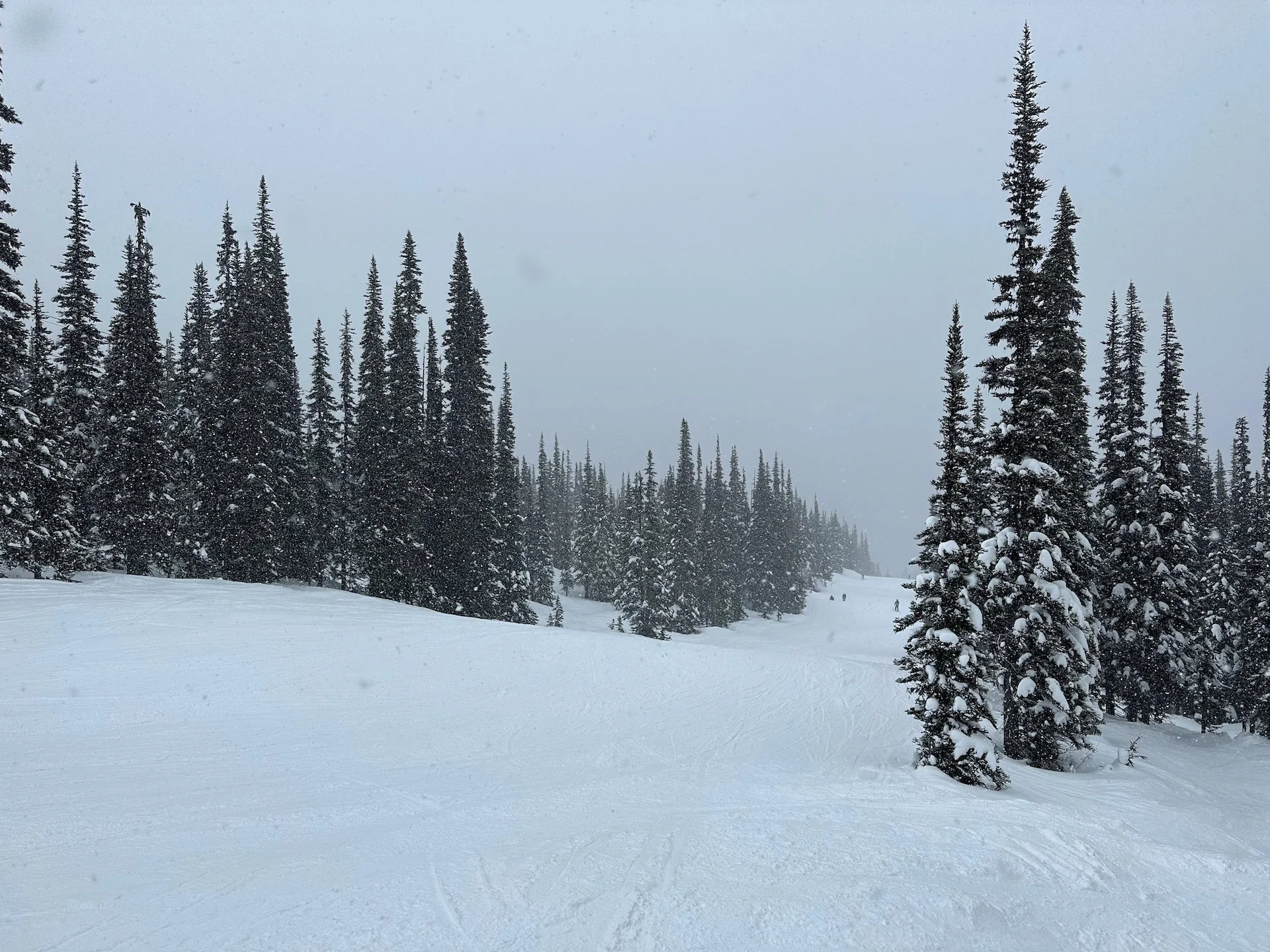 One of the runs on Symphony.