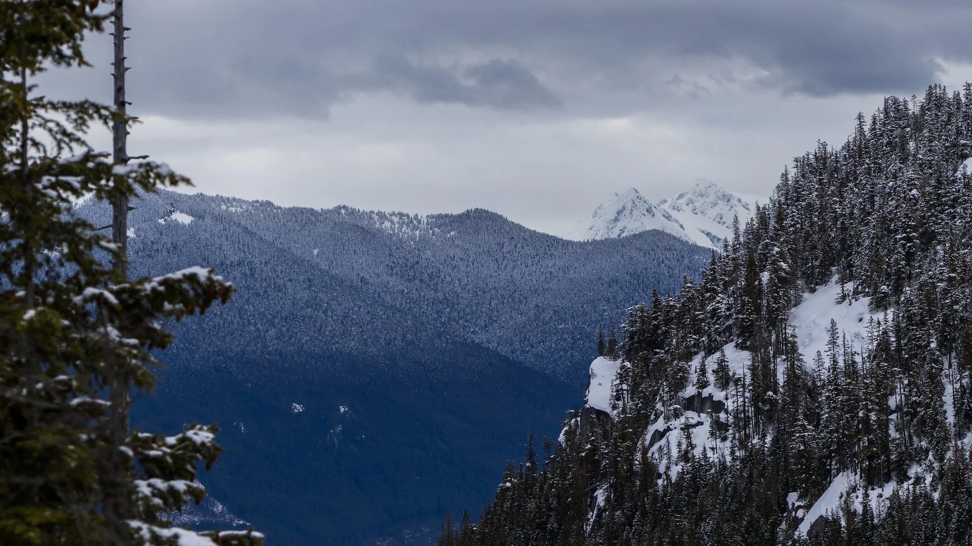 The first view up the valley as we headed out on the trail.