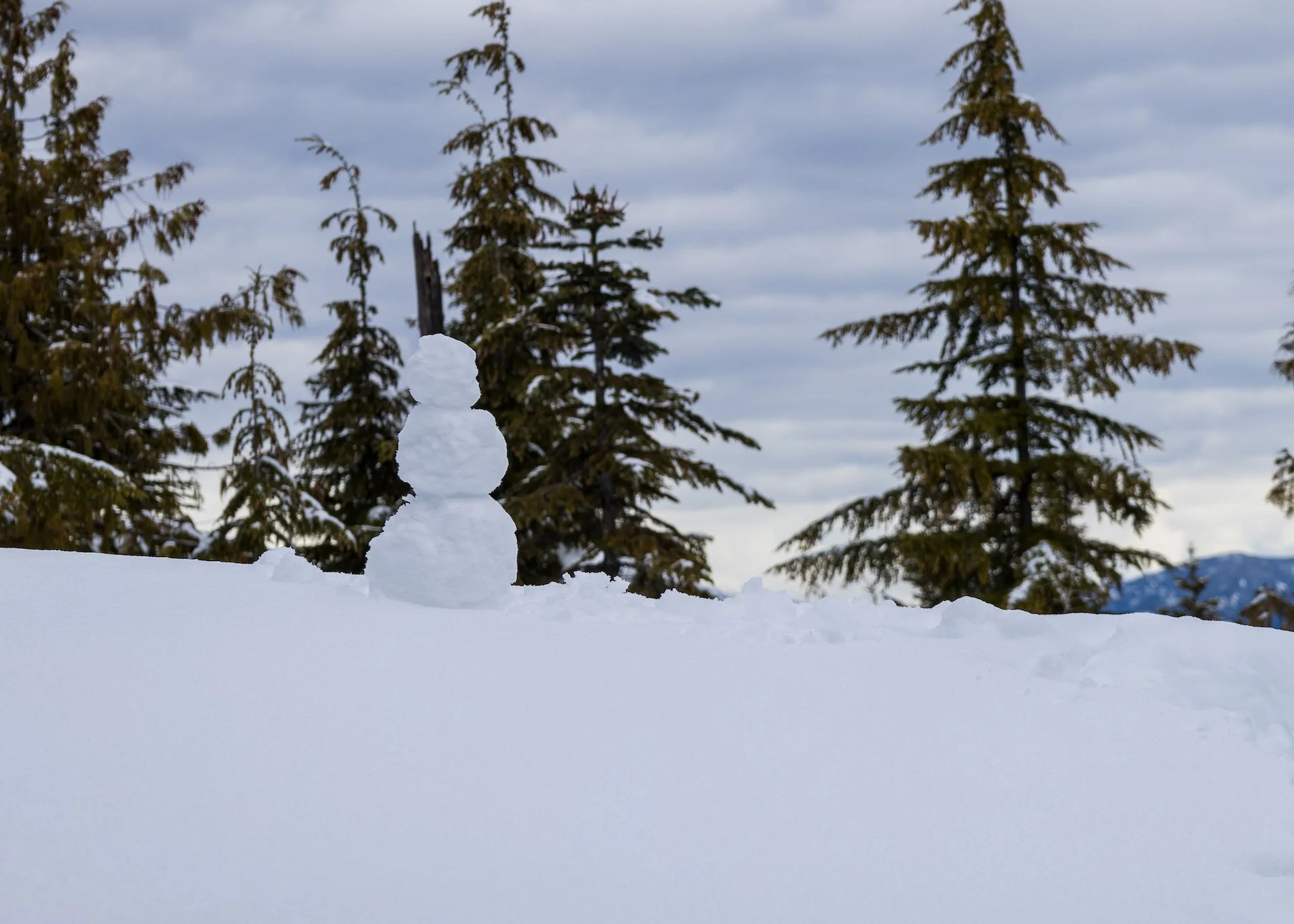 He (?) had a pretty good view.