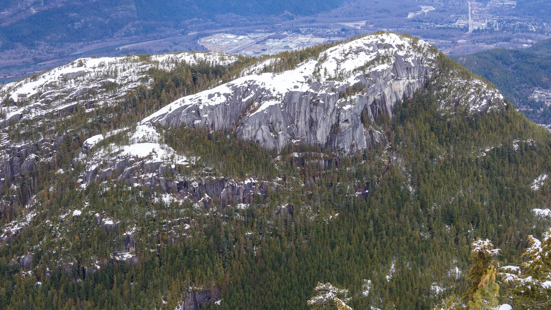 A close up of the Chief.