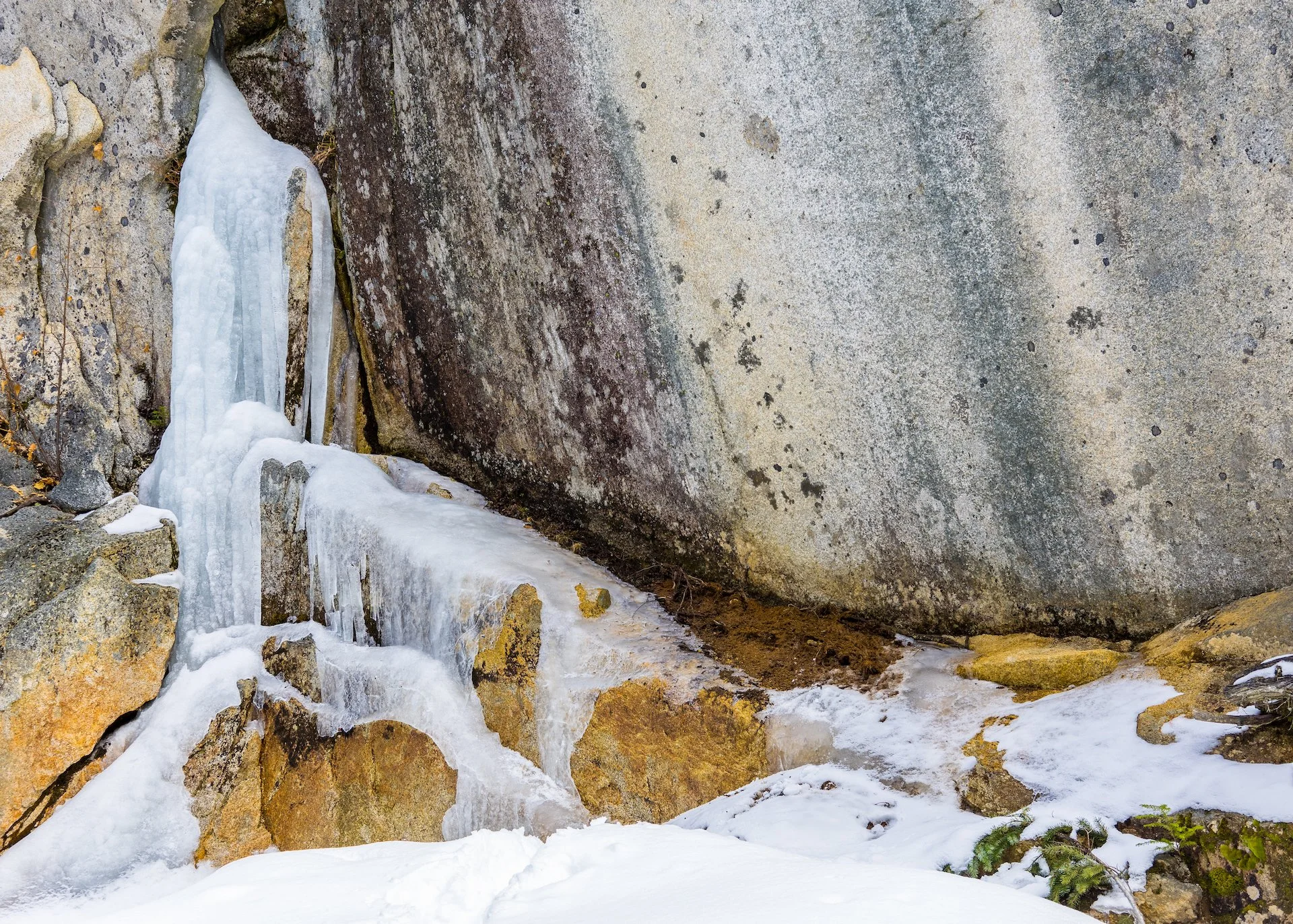 Love the colours in the ice…