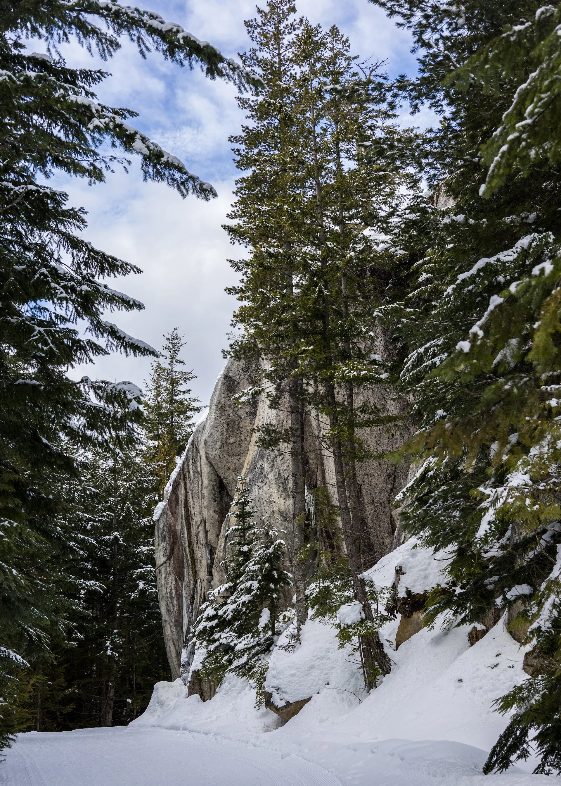 Looking back on the trail as we headed off into Wonderland…