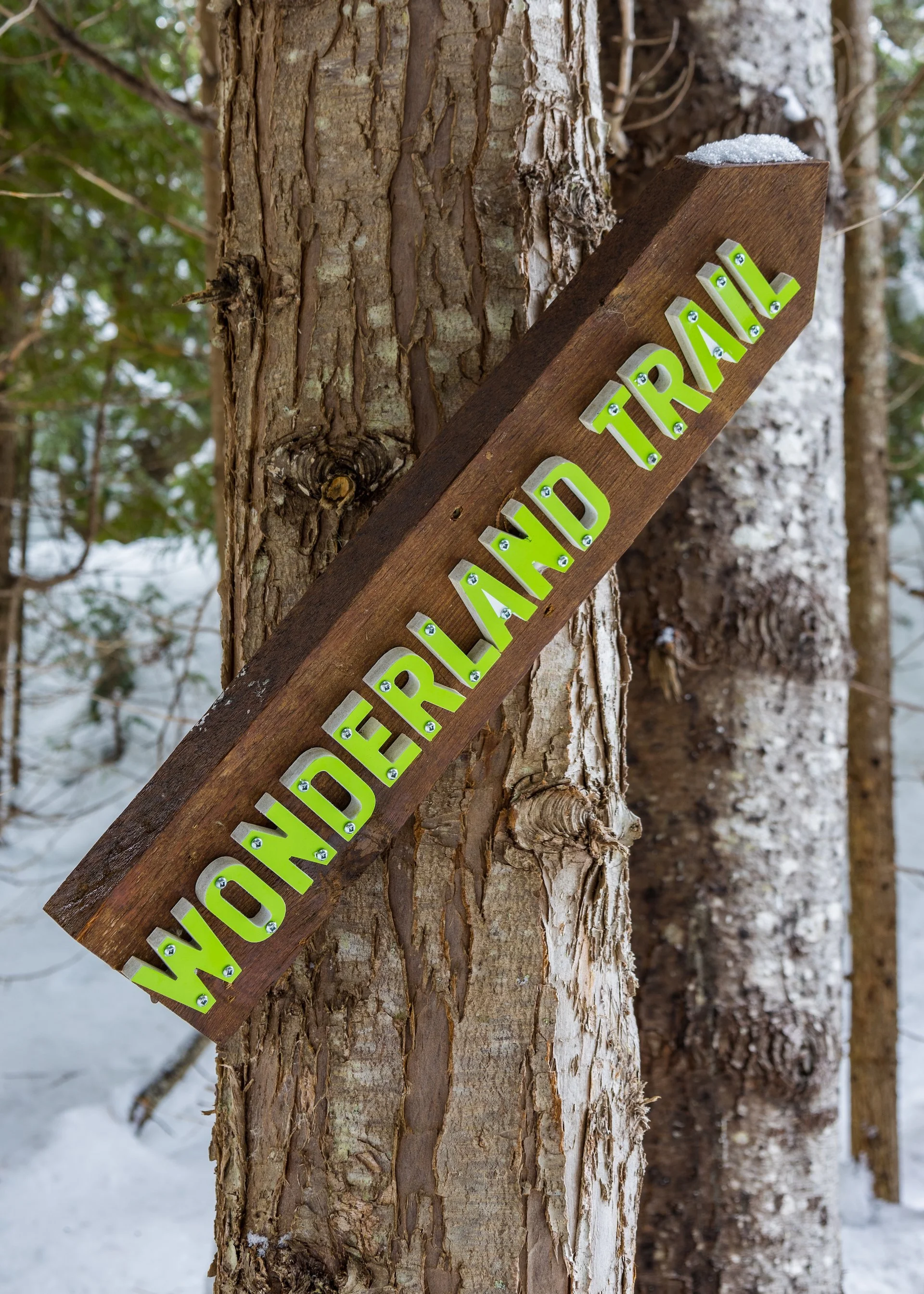 2023 03 Squamish - 61.jpeg