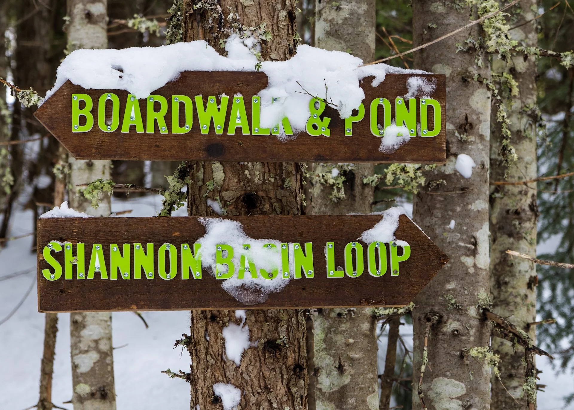 They did an amazing job with the trail signs and markers.