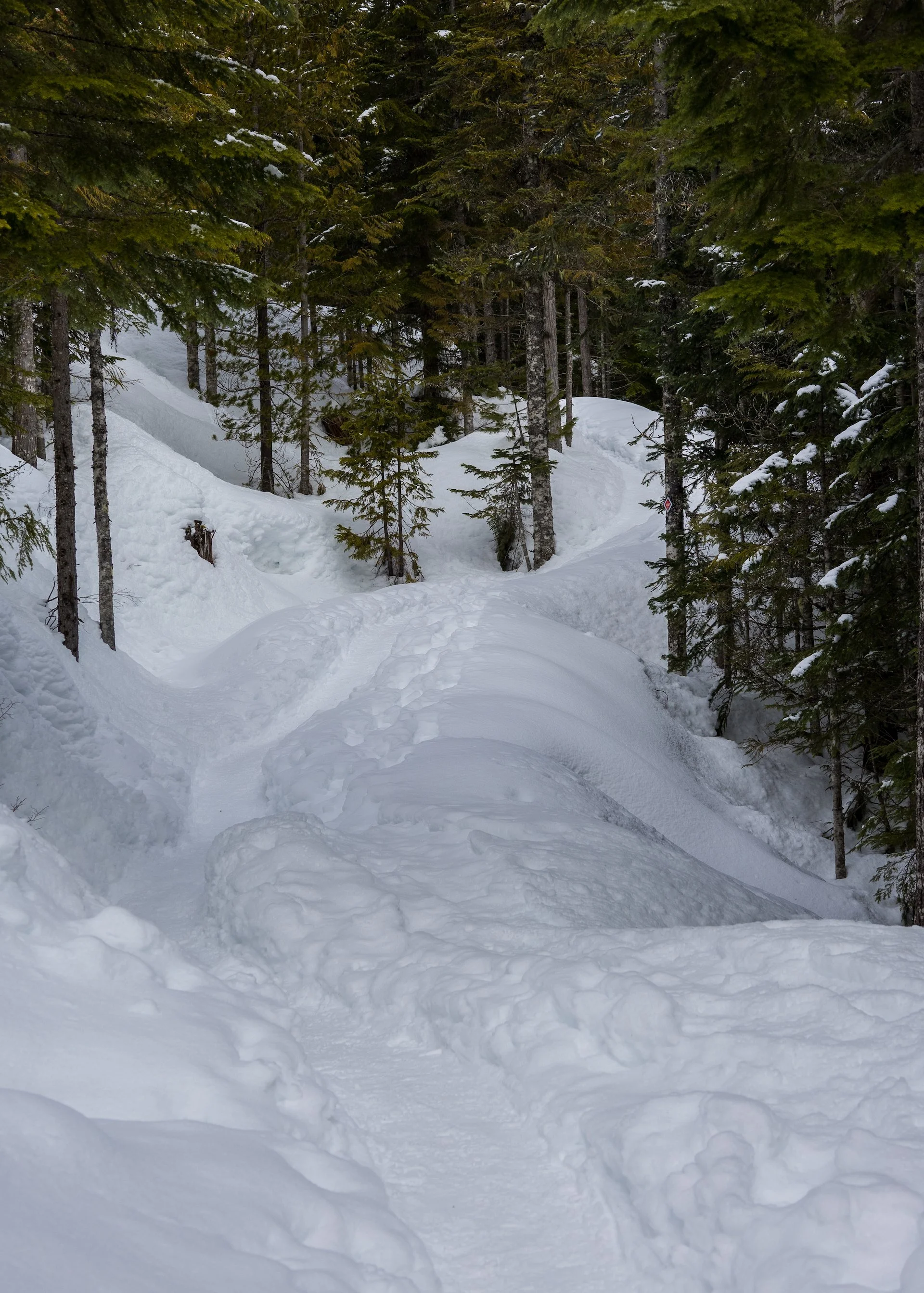 Heading back towards the lodge.