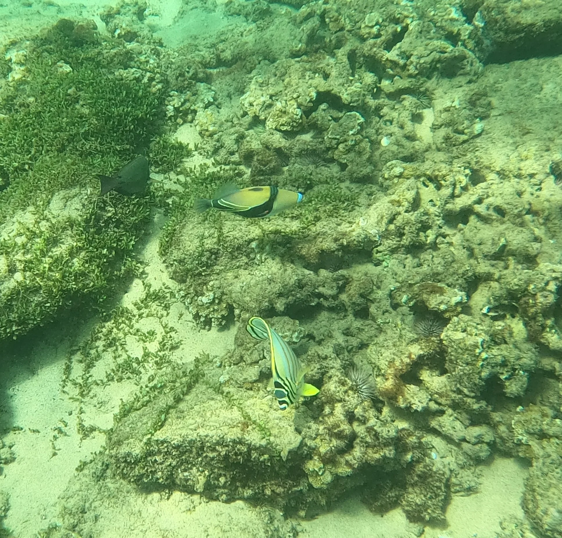 GOPR0165.JPG