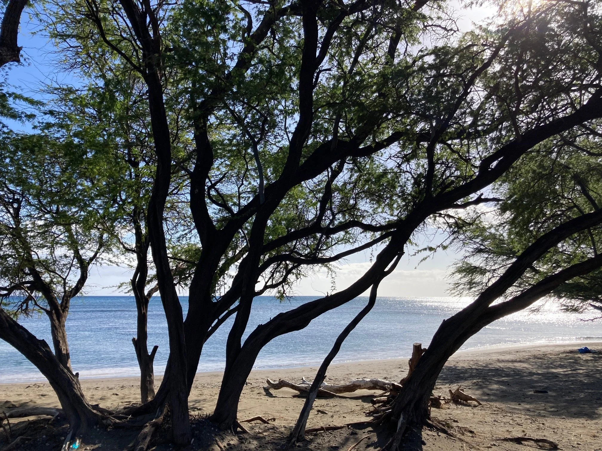  The view of the beach. 