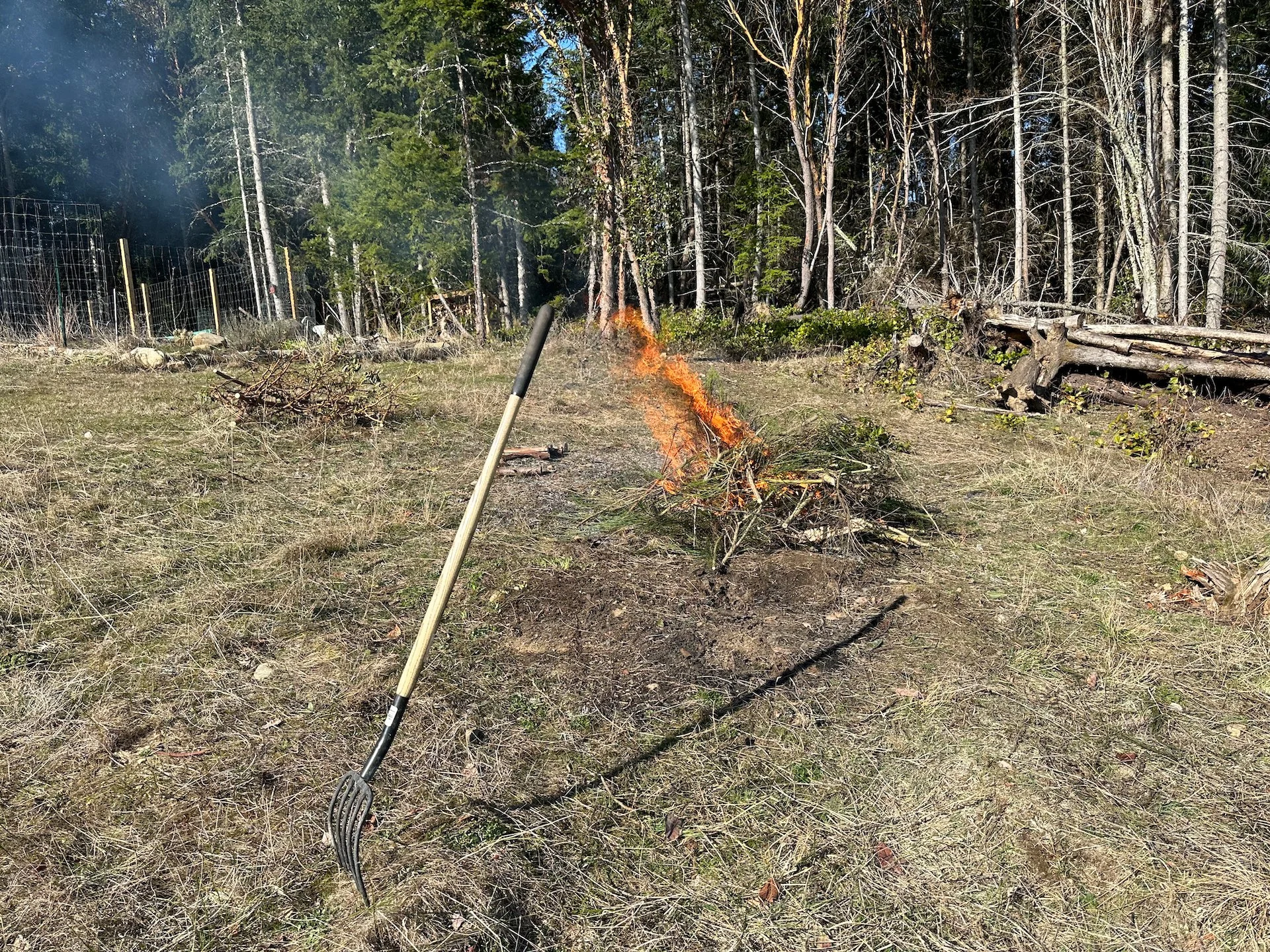  The start of our little fire - byt the end of the day the pile of ashes and coals was about that big. 