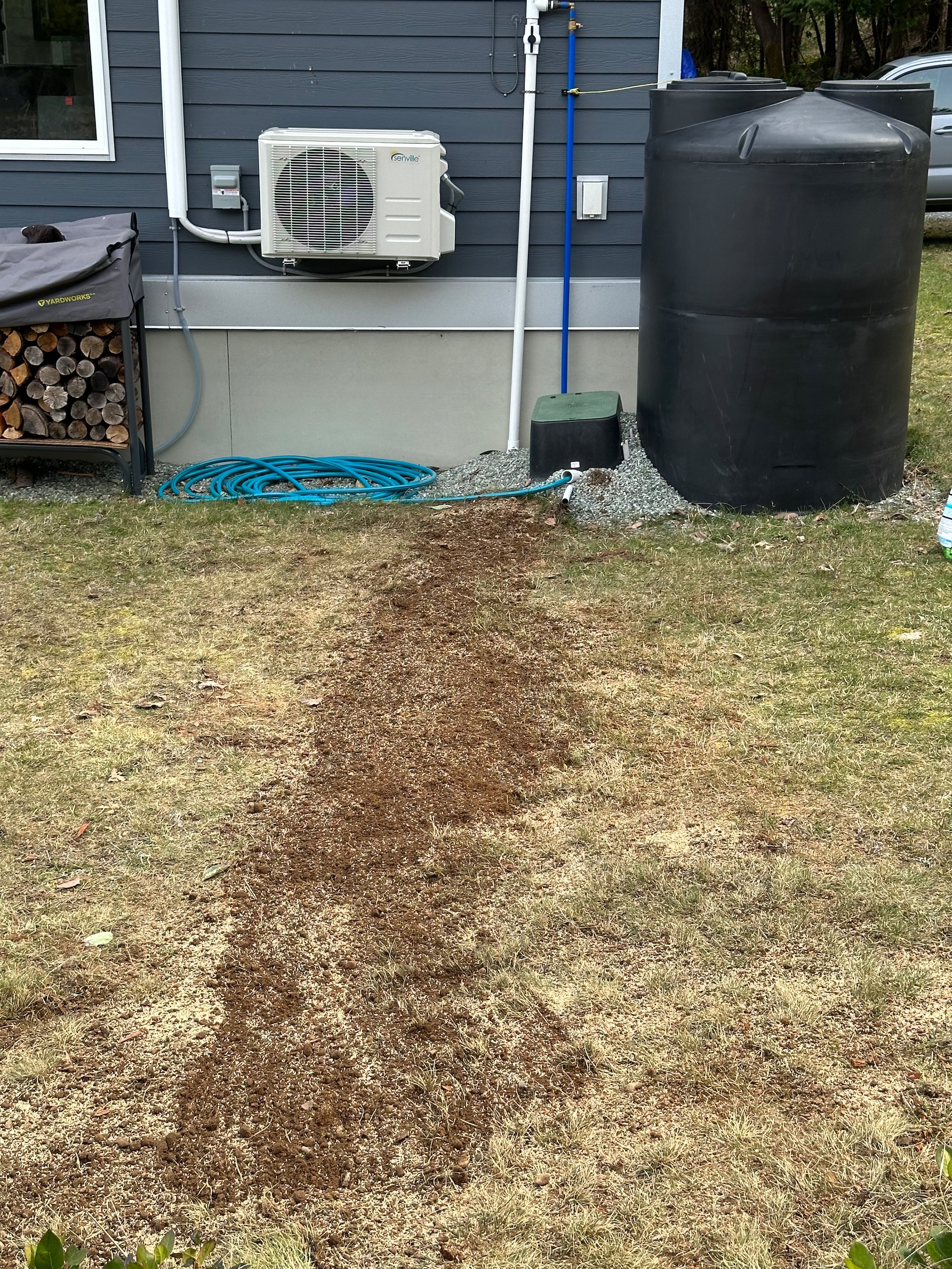  Then we reseeded the dirt and we’ll hope for the grass to grow before the birds eat all the seed. 