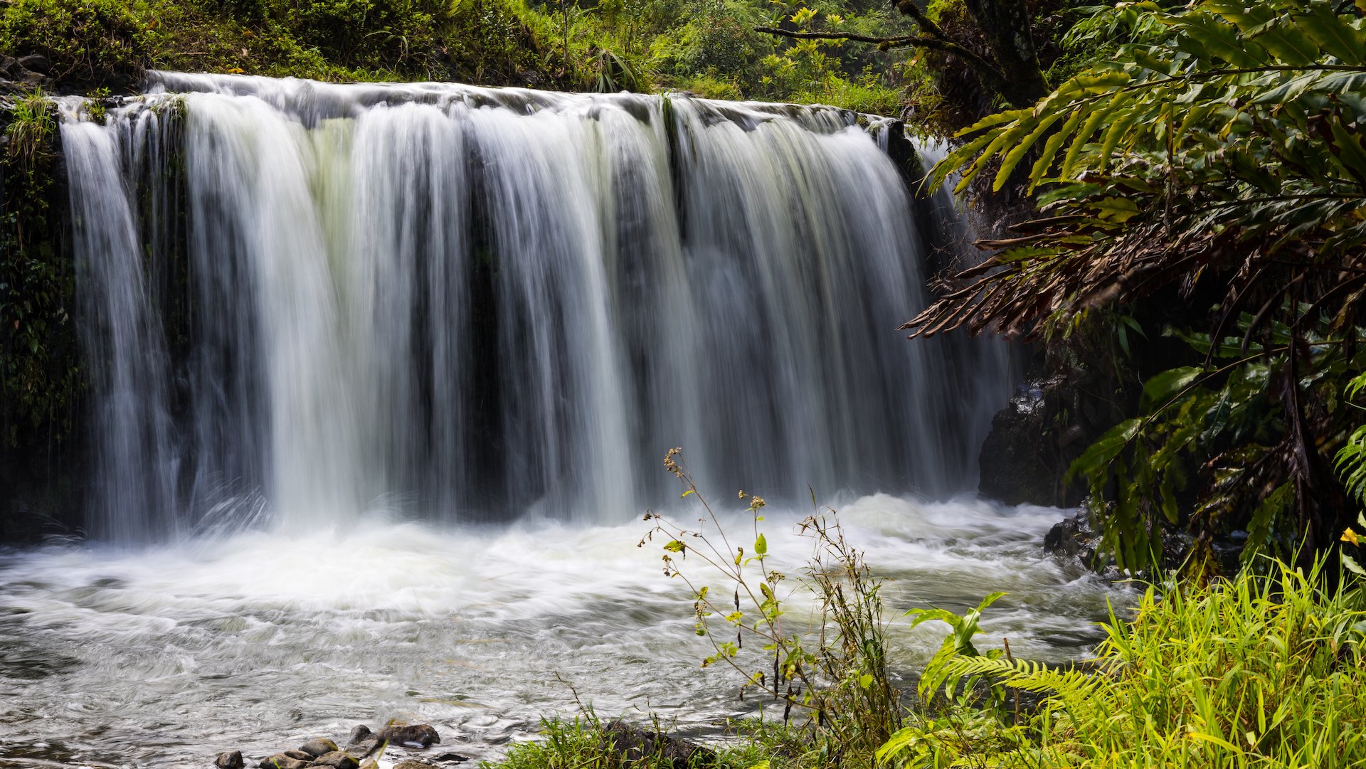  A small waterfall at one of the little State Parks we stopped at. 