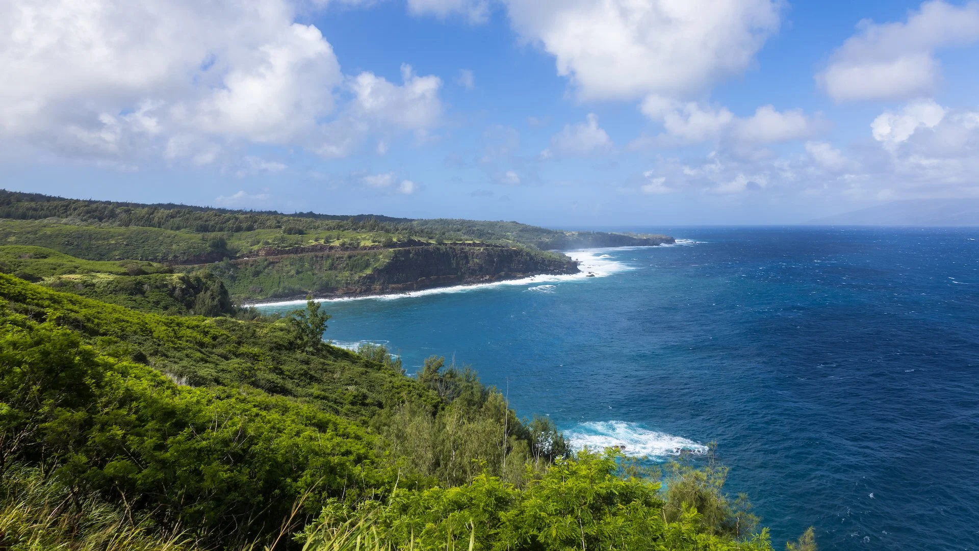 Looking south down the coast from one of the pullouts. 