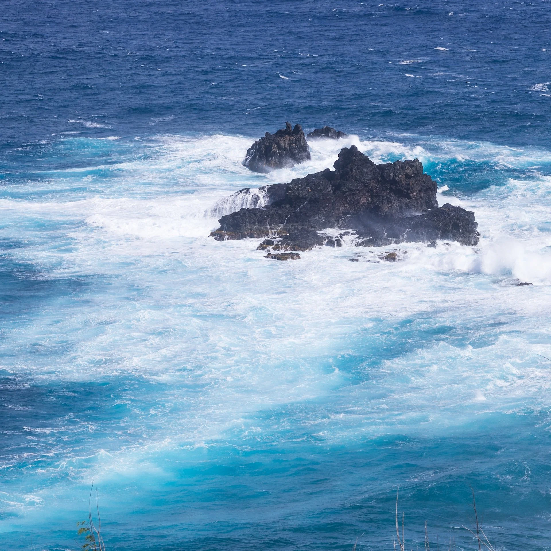  A bit of a close-up - the water looks so blue! 