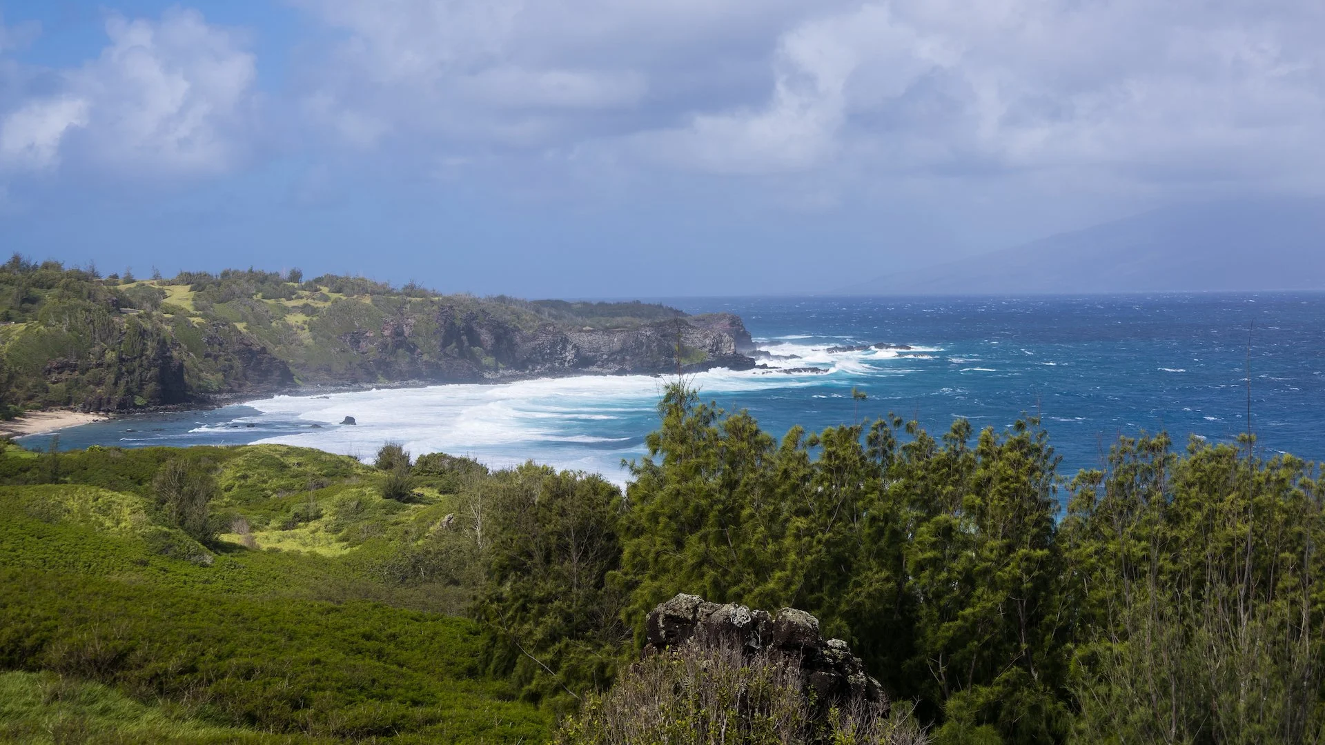  At a second stop, there landscape was starting to change and more trees were working their way in. 